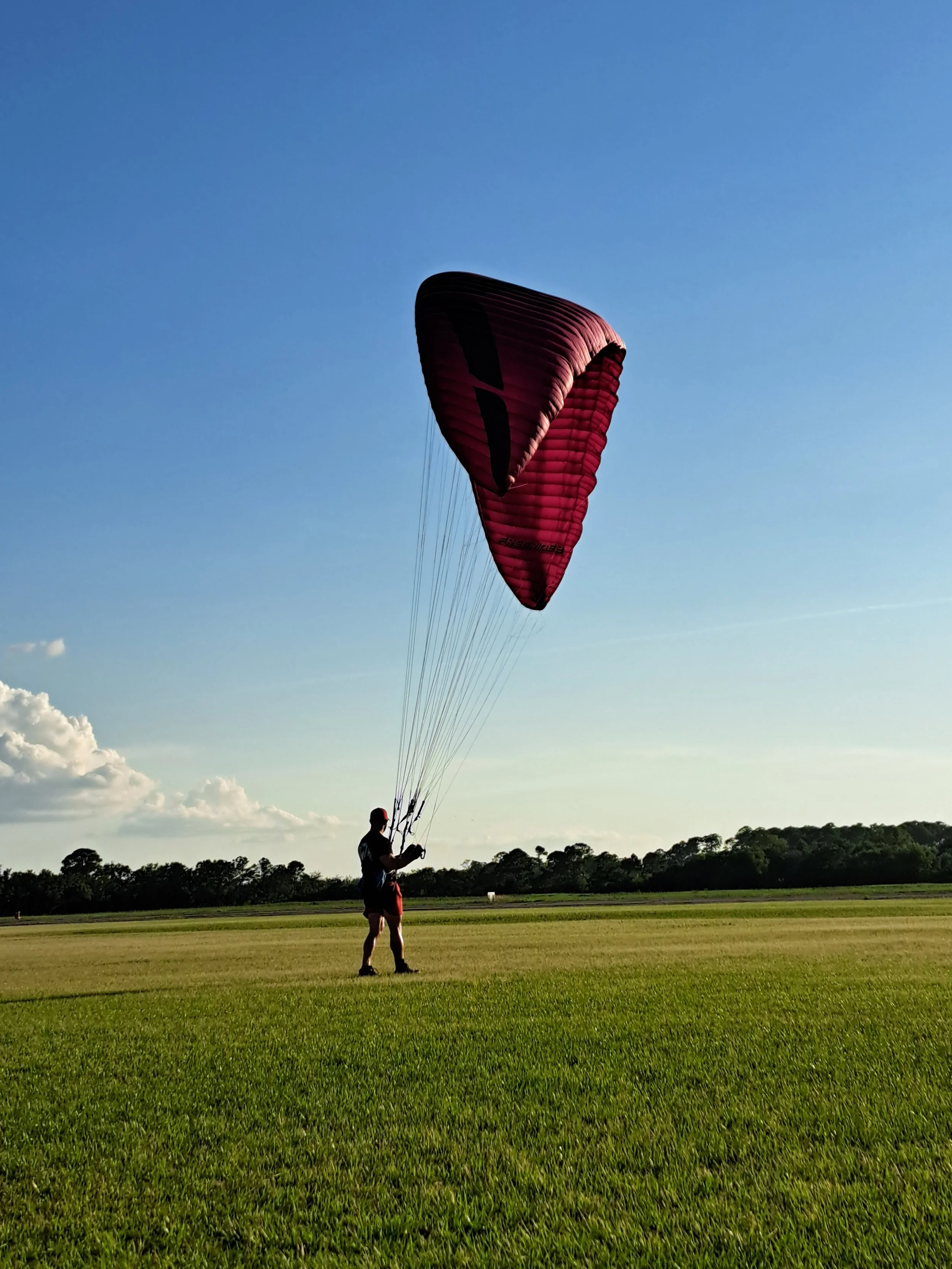 A person holding a red and black paraglider ready for takeoff in a large open grassy field with trees in the background under a clear blue sky.