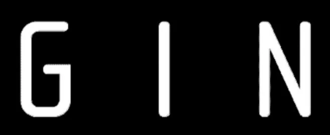 Close-up of the word "GIN" in white letters on a black background