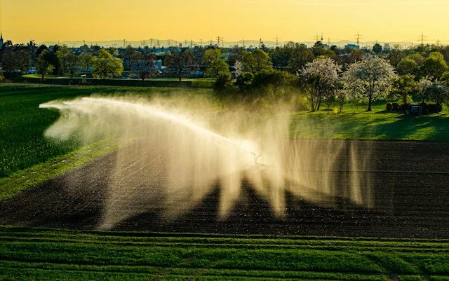 A tractor spraying fertilizer or water on a farming field during sunset.