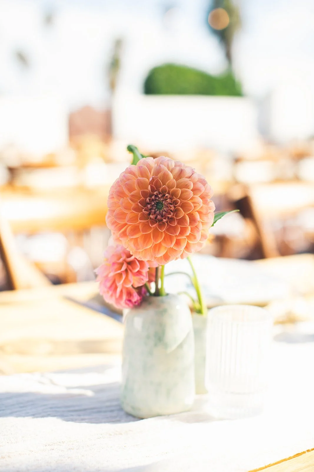 IMG_8667.JPG