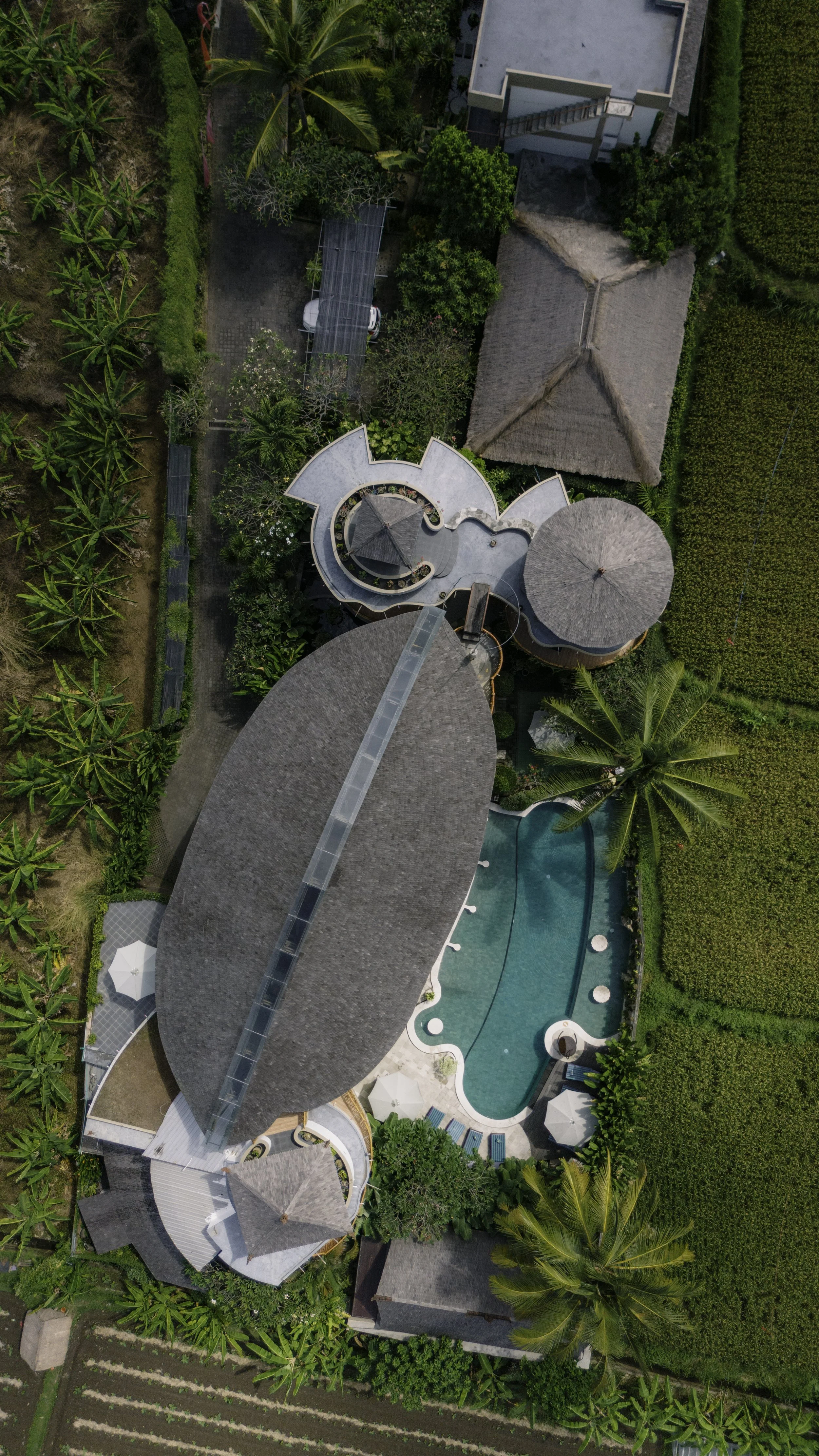 Copy of DJI_20240610113344_0353_D.jpeg