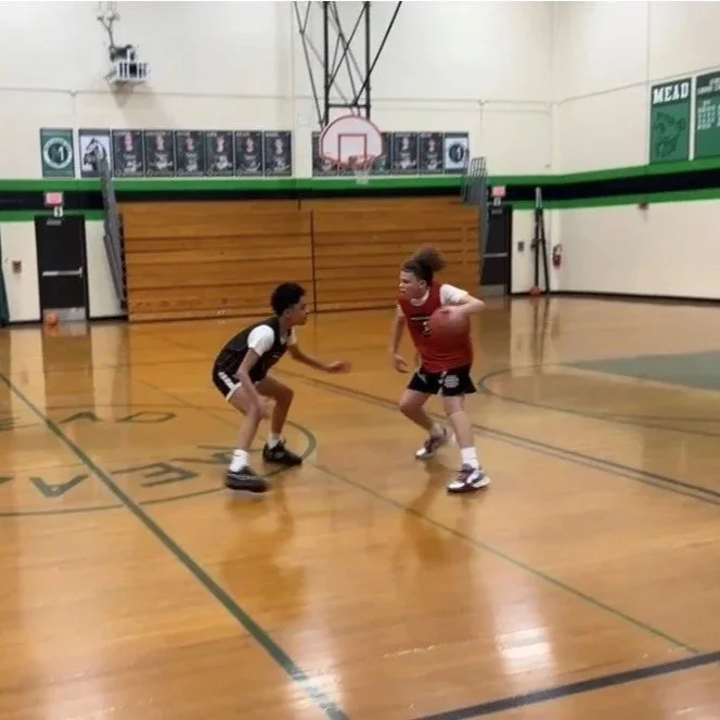 Two children playing basketball in a gymnasium, with one holding a basketball and the other defending.