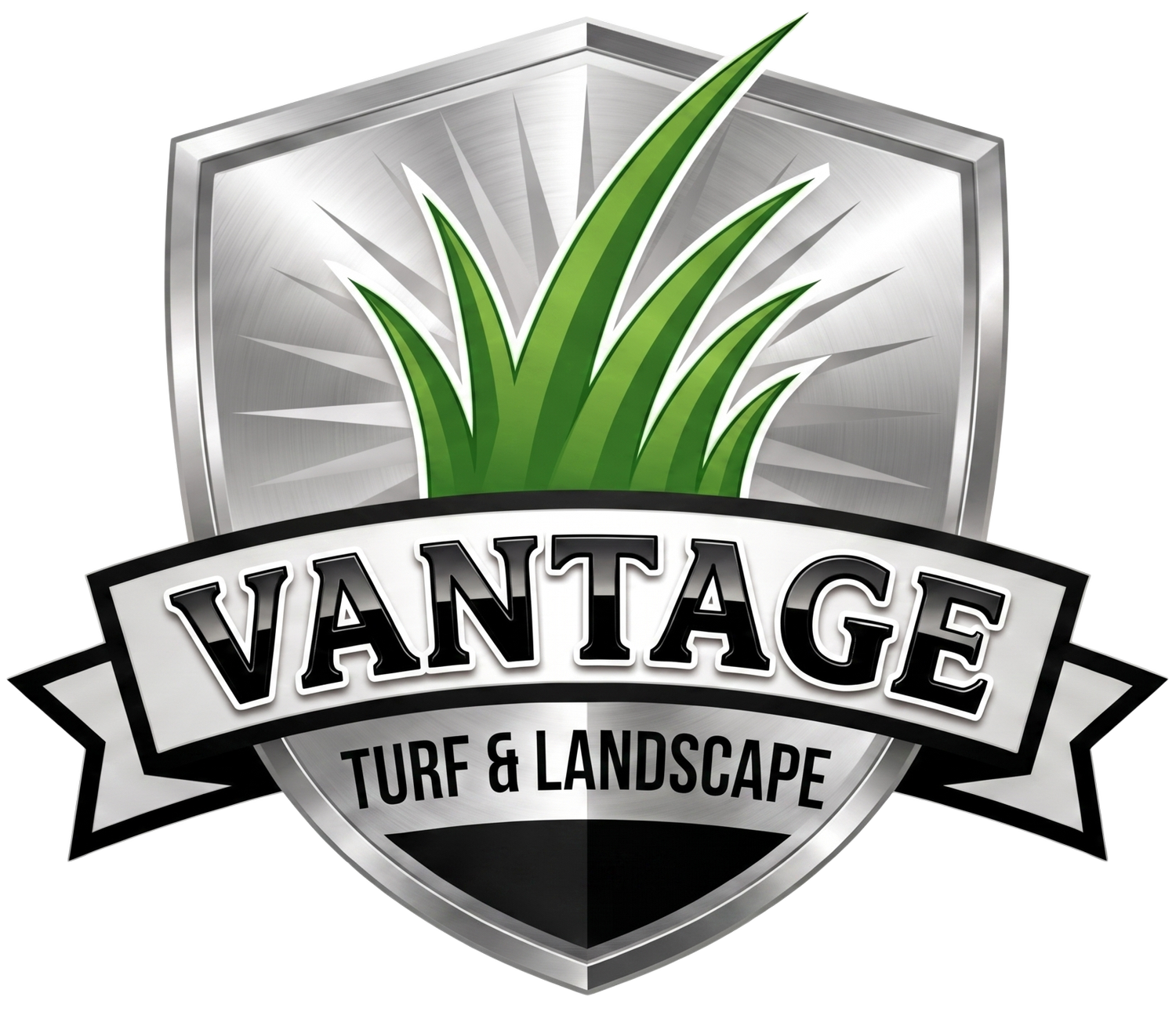 Vantage Landscape