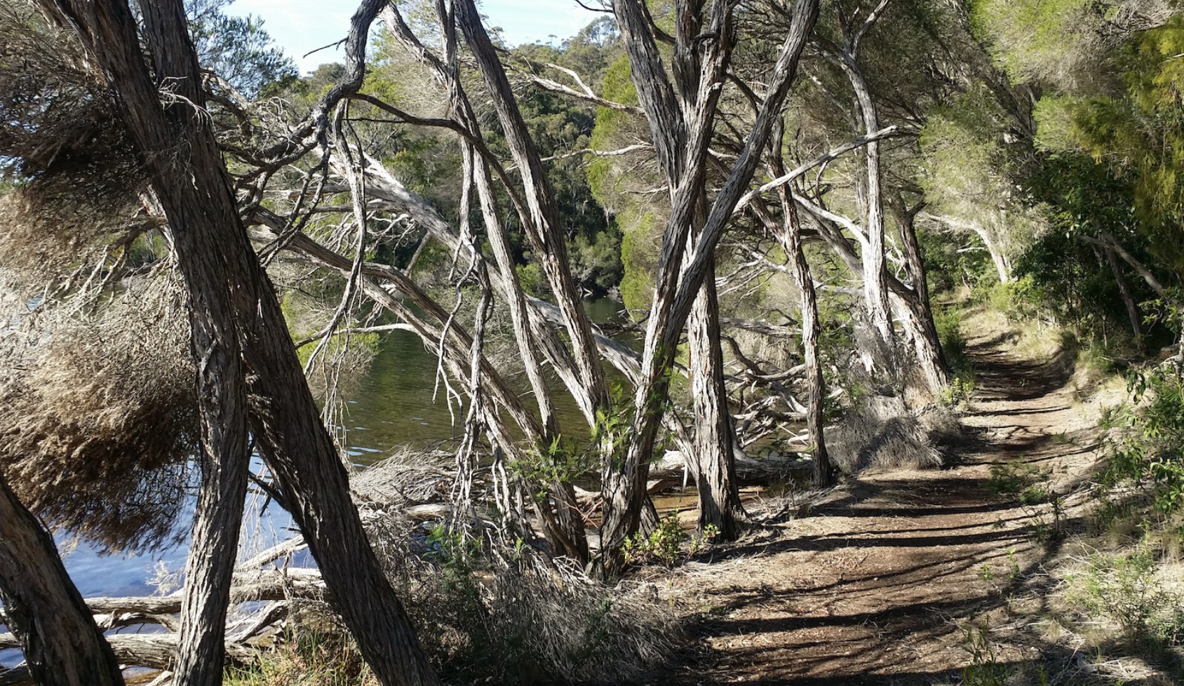 Bike Trails Mallacoota