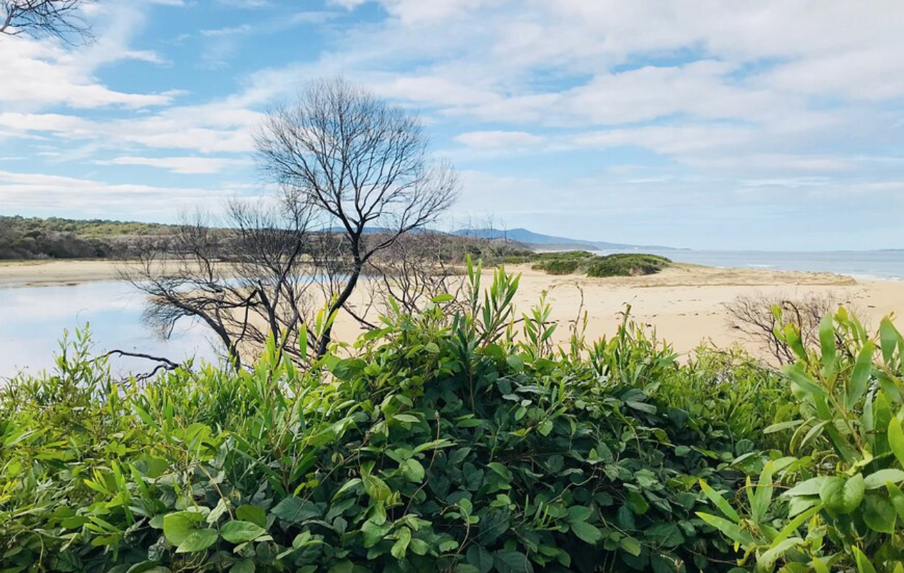Betka Beach