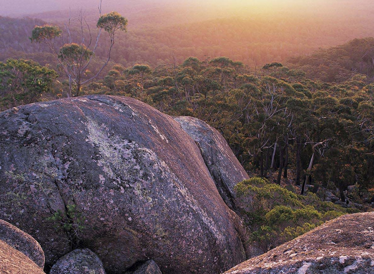 Genoea Peak Walk