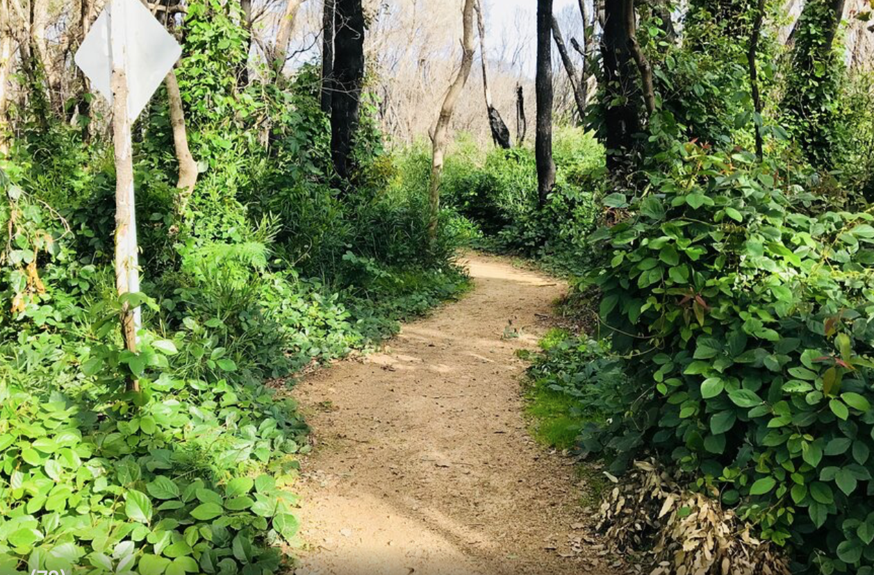 Mallacoota Coastal Walks