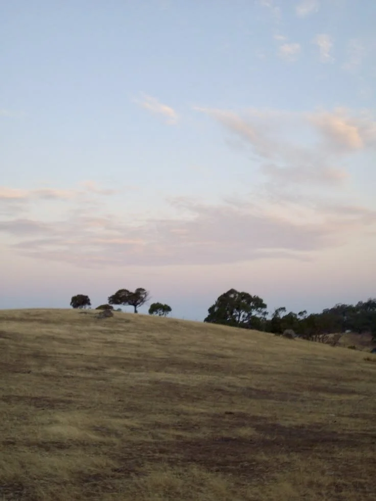 A gently sloping grassy hill with scattered trees under a partly cloudy sky during sunset.