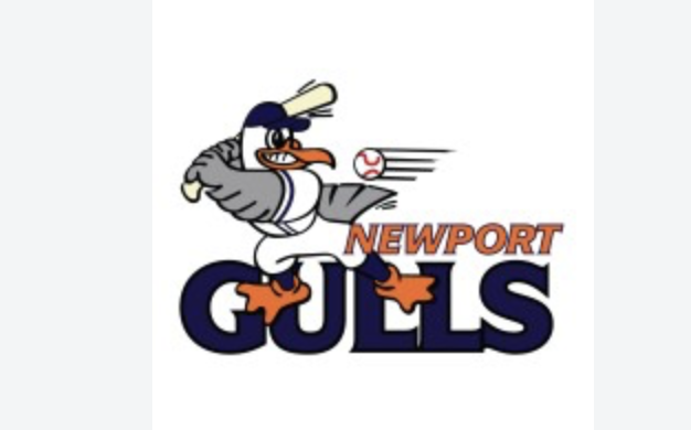Newport Gulls Baseball