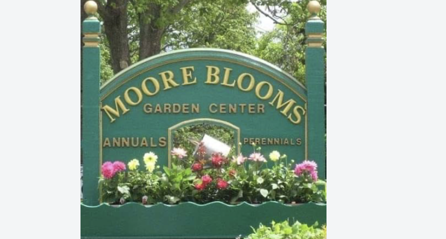 Moore Blooms
