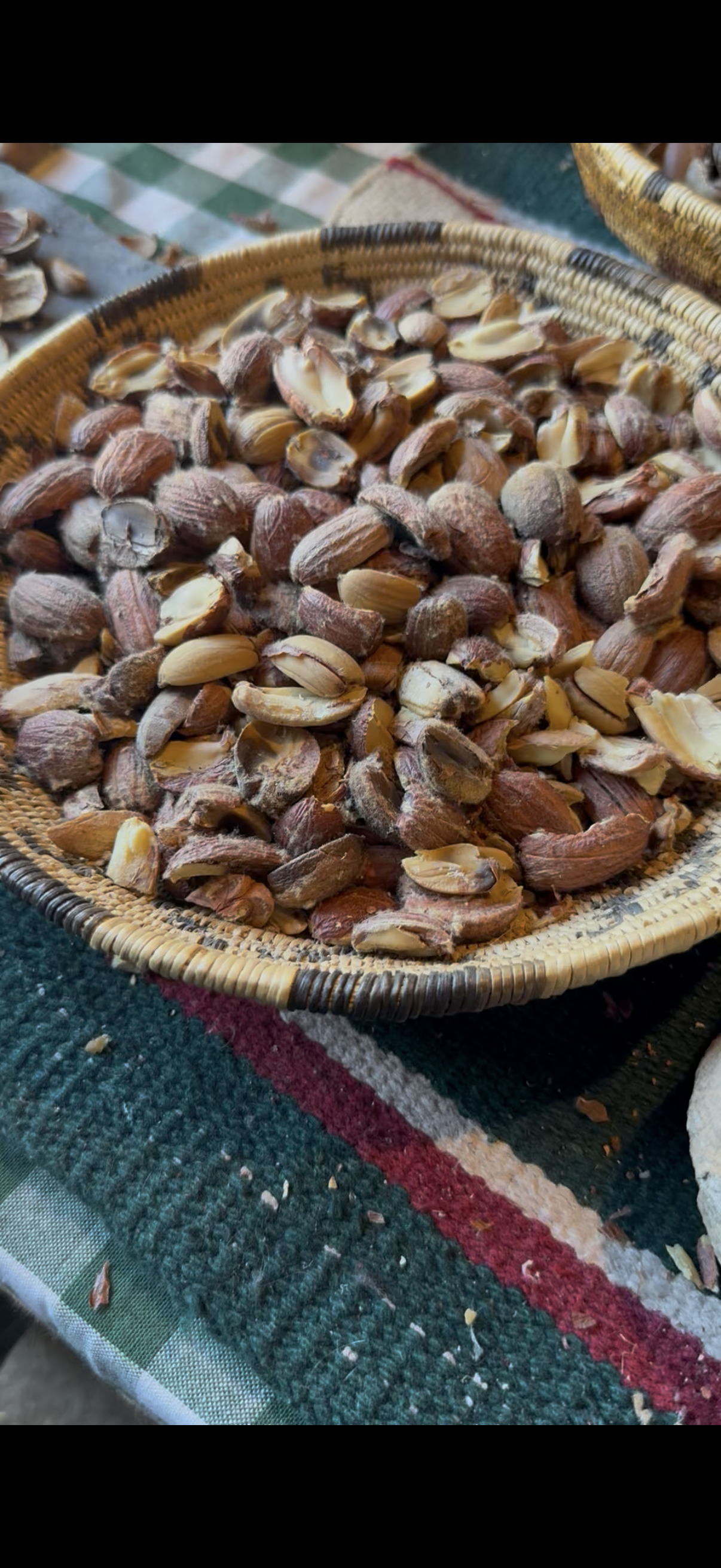 acorns in basket