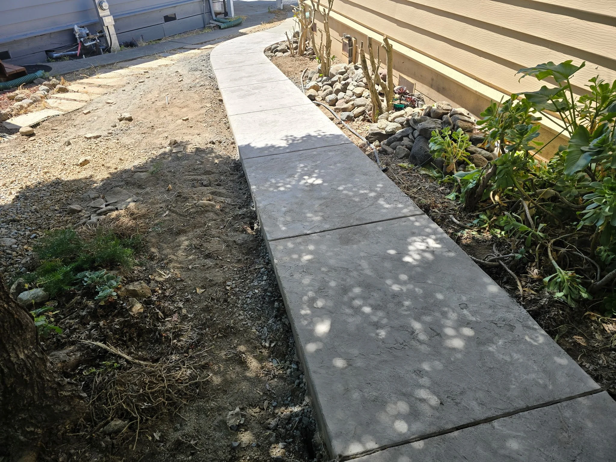 A newly paved concrete sidewalk alongside a house with a yellow exterior wall, surrounded by bare soil, rocks, and some greenery including plants and small trees.