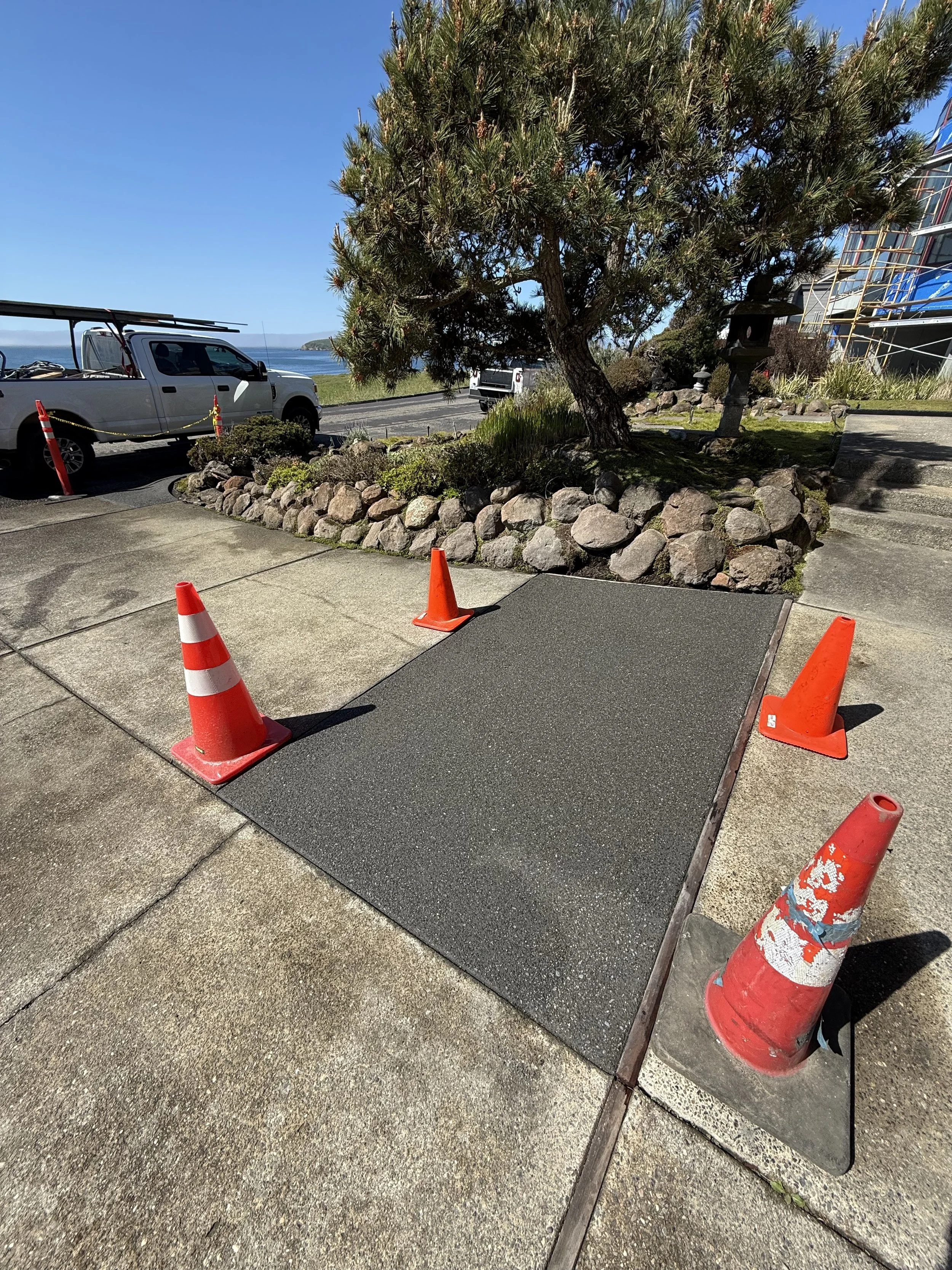 Construction cones around a section of sidewalk being repaired or replaced, with a tree, a stone border, and a building visible in the background.