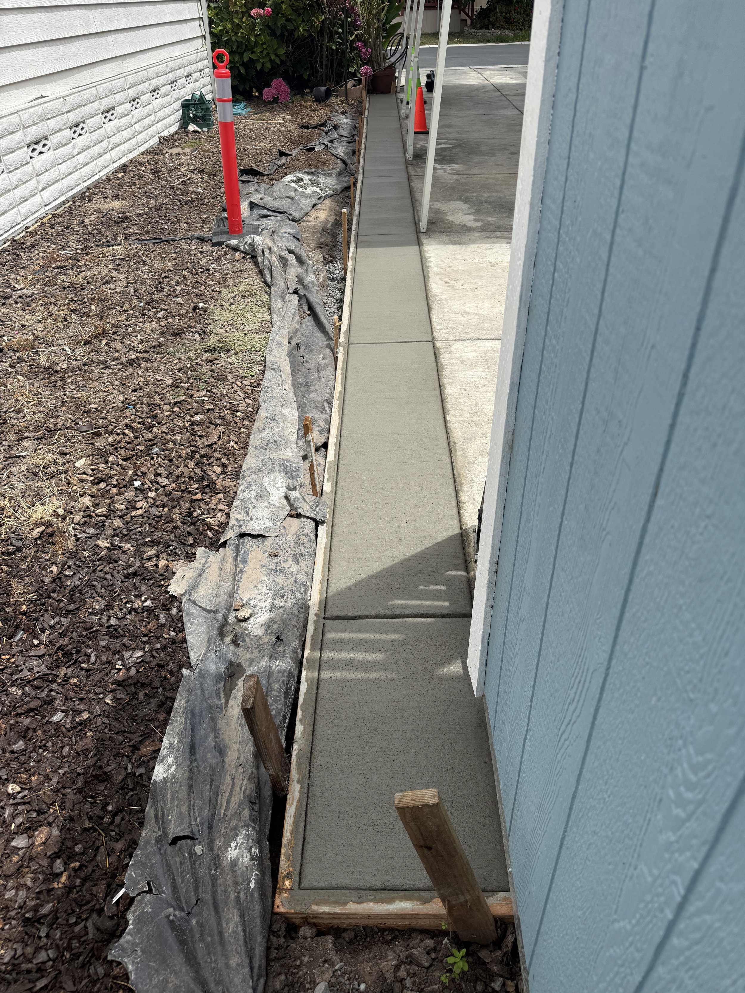 A sidewalk under construction with freshly poured concrete, bordered by a stone border and adjacent to a garden area with mulch, plants, and flowers, near a blue house.
