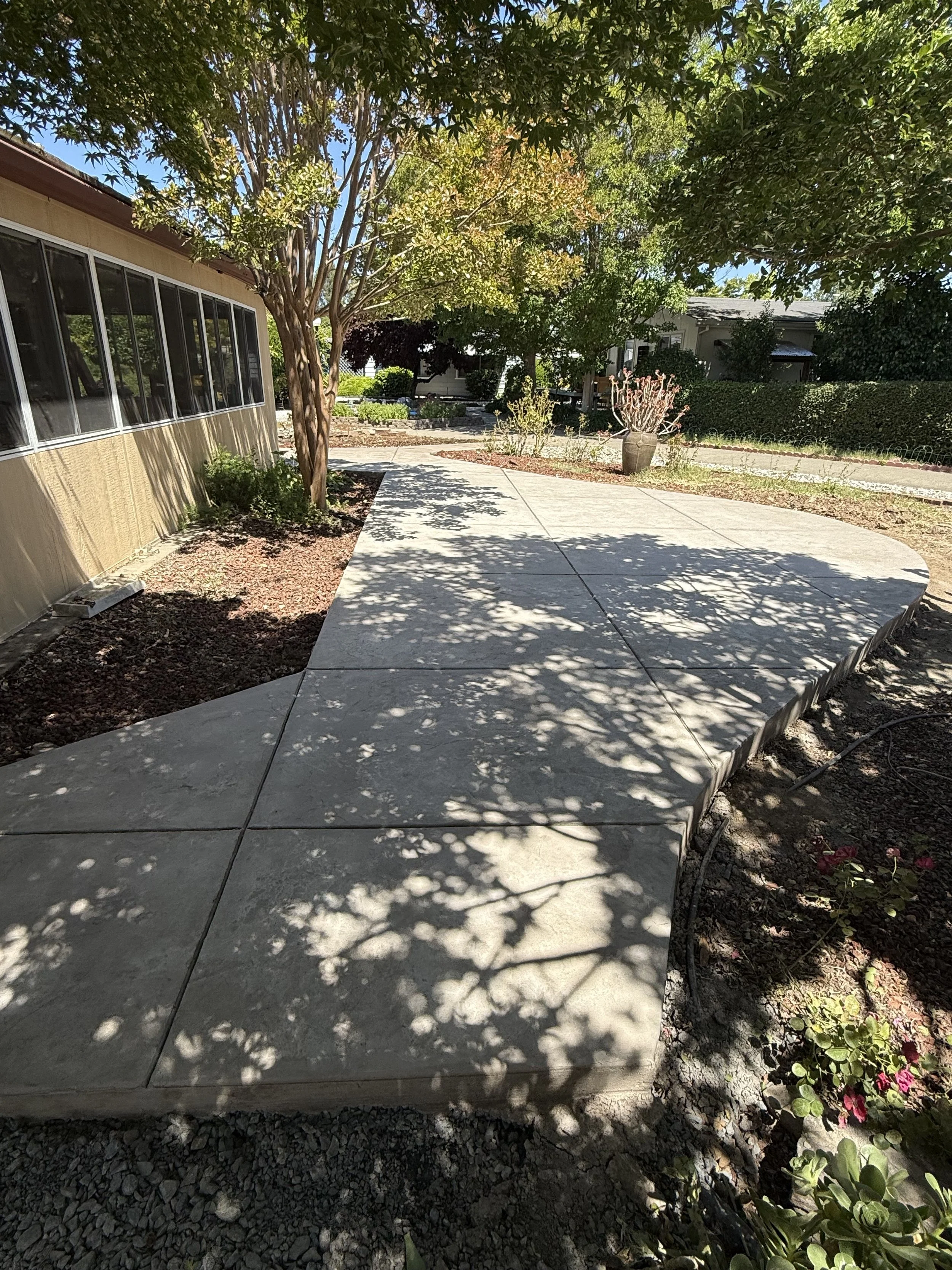 A backyard patio with a concrete walkway, a tree casting shadows, and a flower pot with pink flowers. Nearby are bushes, a house, and a sunny sky.