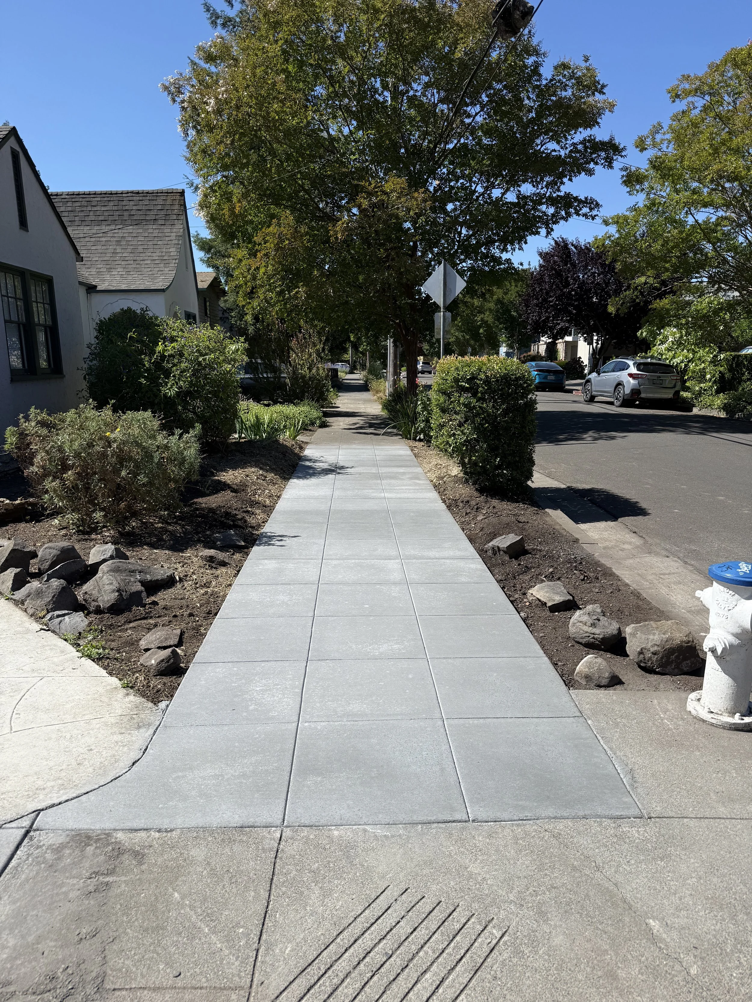 A sidewalk with newly installed concrete paving, bordered by landscaping with shrubs and rocks on the left side and a street with parked cars on the right side. Trees line the street, and a blue sky is visible overhead.