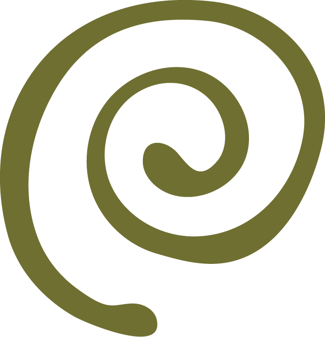 A close-up view of a spiral-shaped, greenish-brown object, possibly a pine cone or a similar plant structure.
