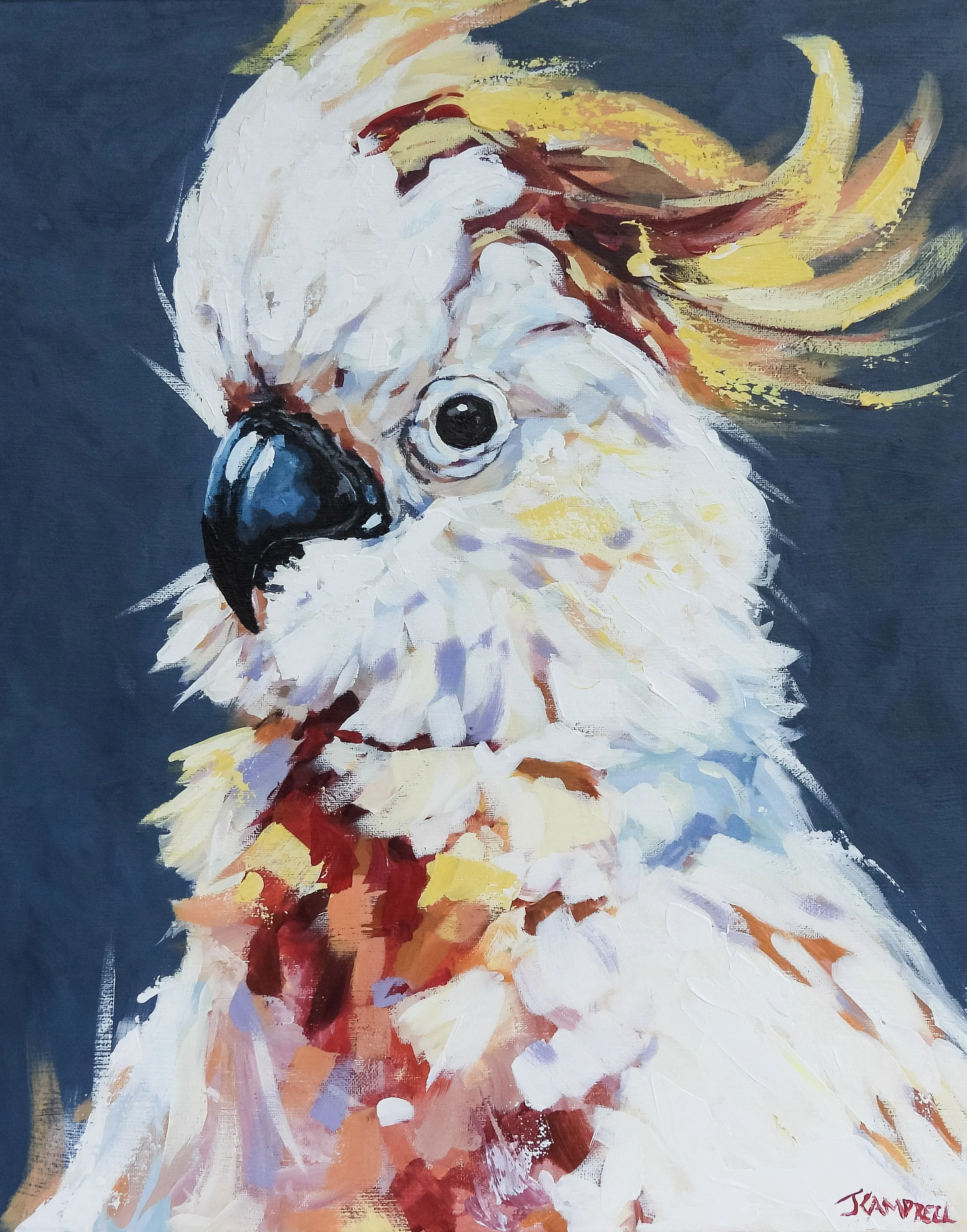 Cockatoo