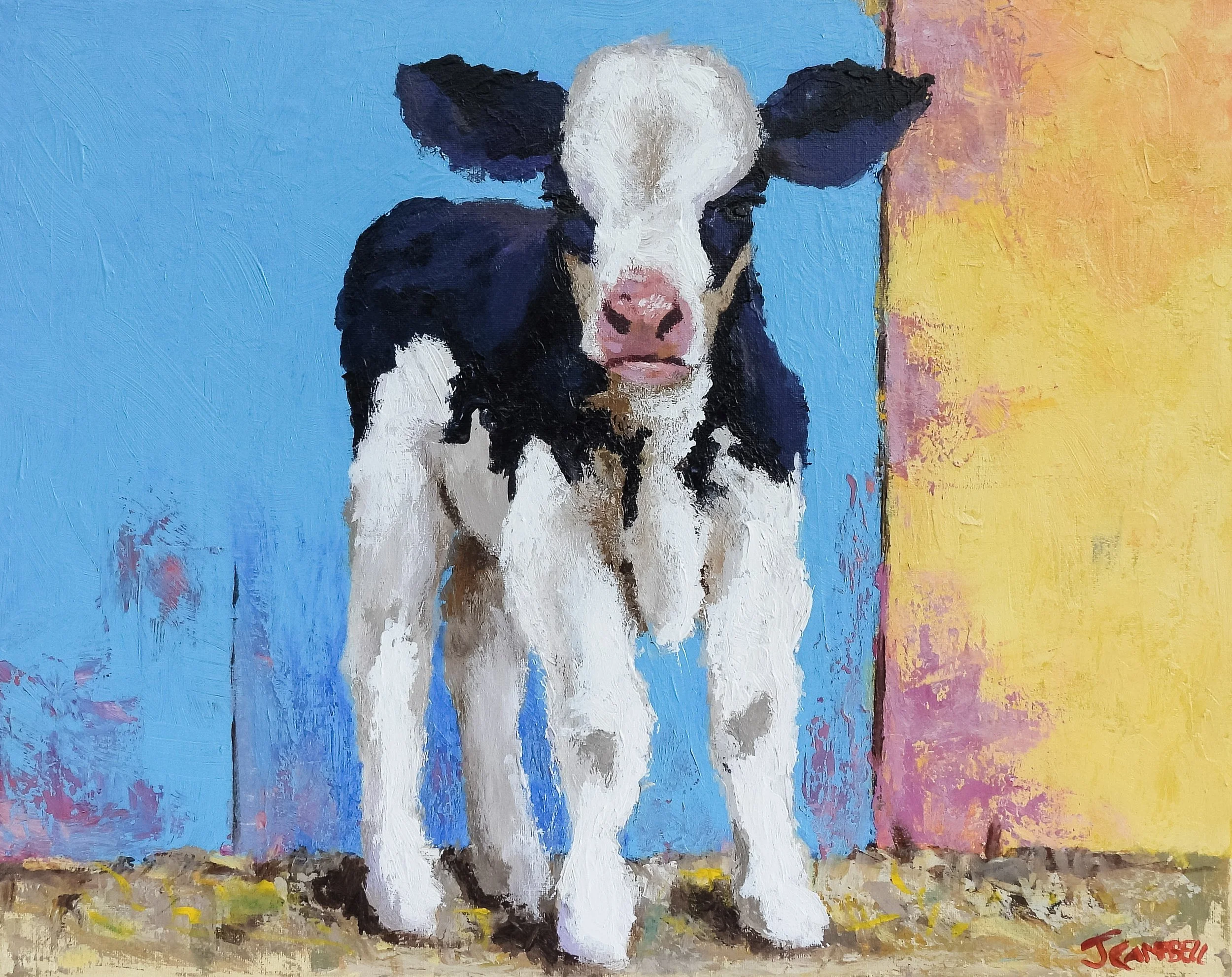 Curious Calf.jpg