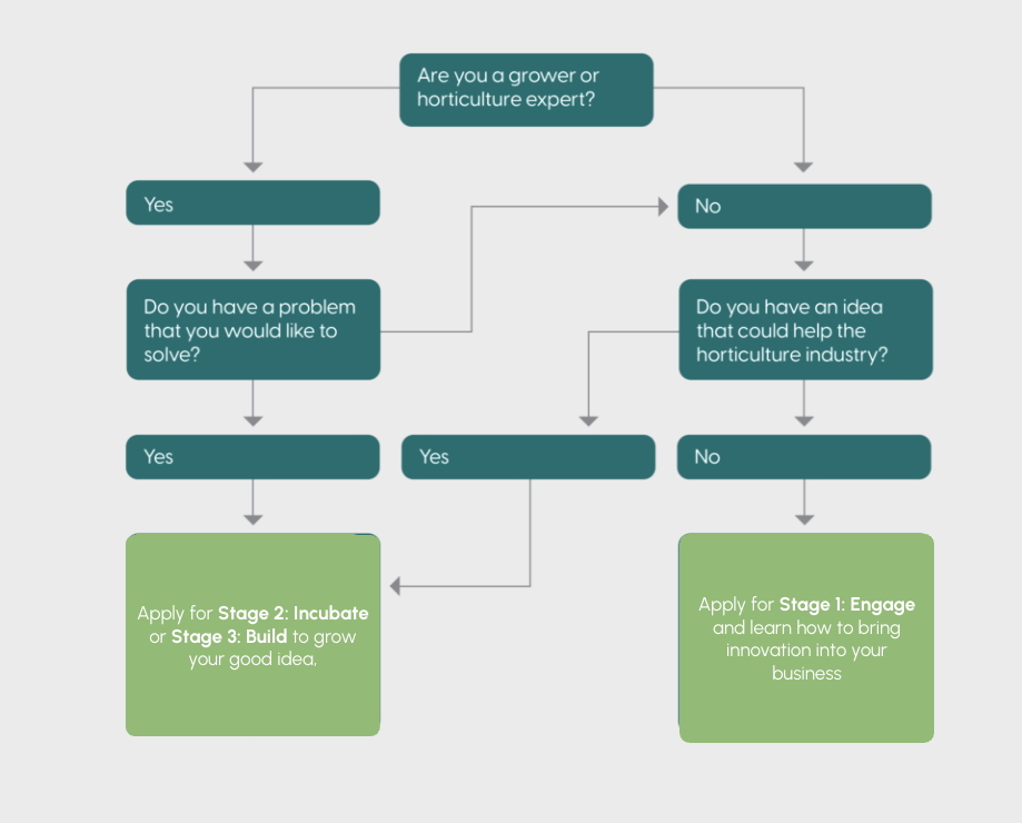 Flowchart diagram about horticulture industry innovation process, with questions and instructions for stages of engagement, incubation, and building