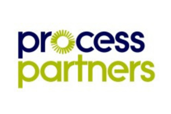 Logo for Process Partners with the words 'process' in navy blue with a green sunburst design as the 'o', and 'partners' in green.