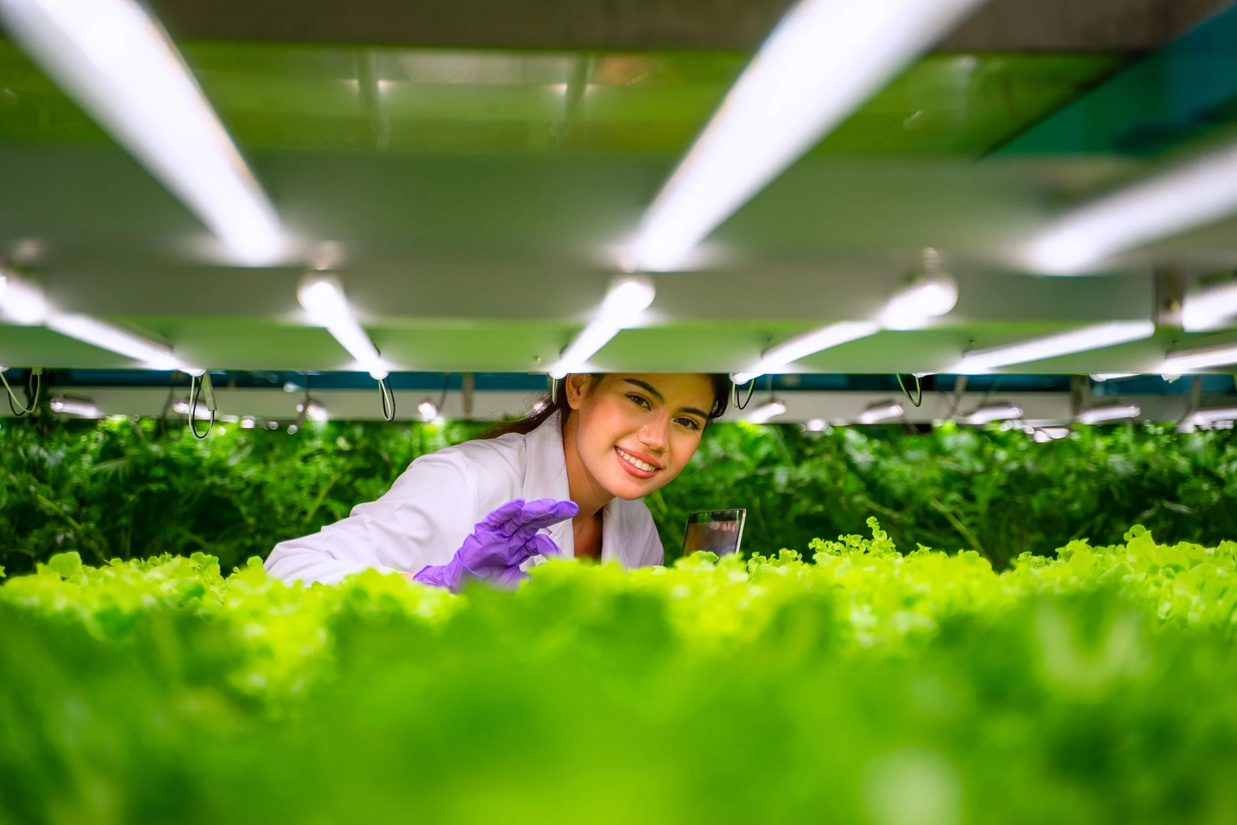A young woman working in an indoor farm or greenhouse, surrounded by lush green leafy plants under artificial lights, wearing a white lab coat and purple gloves, smiling at the camera.