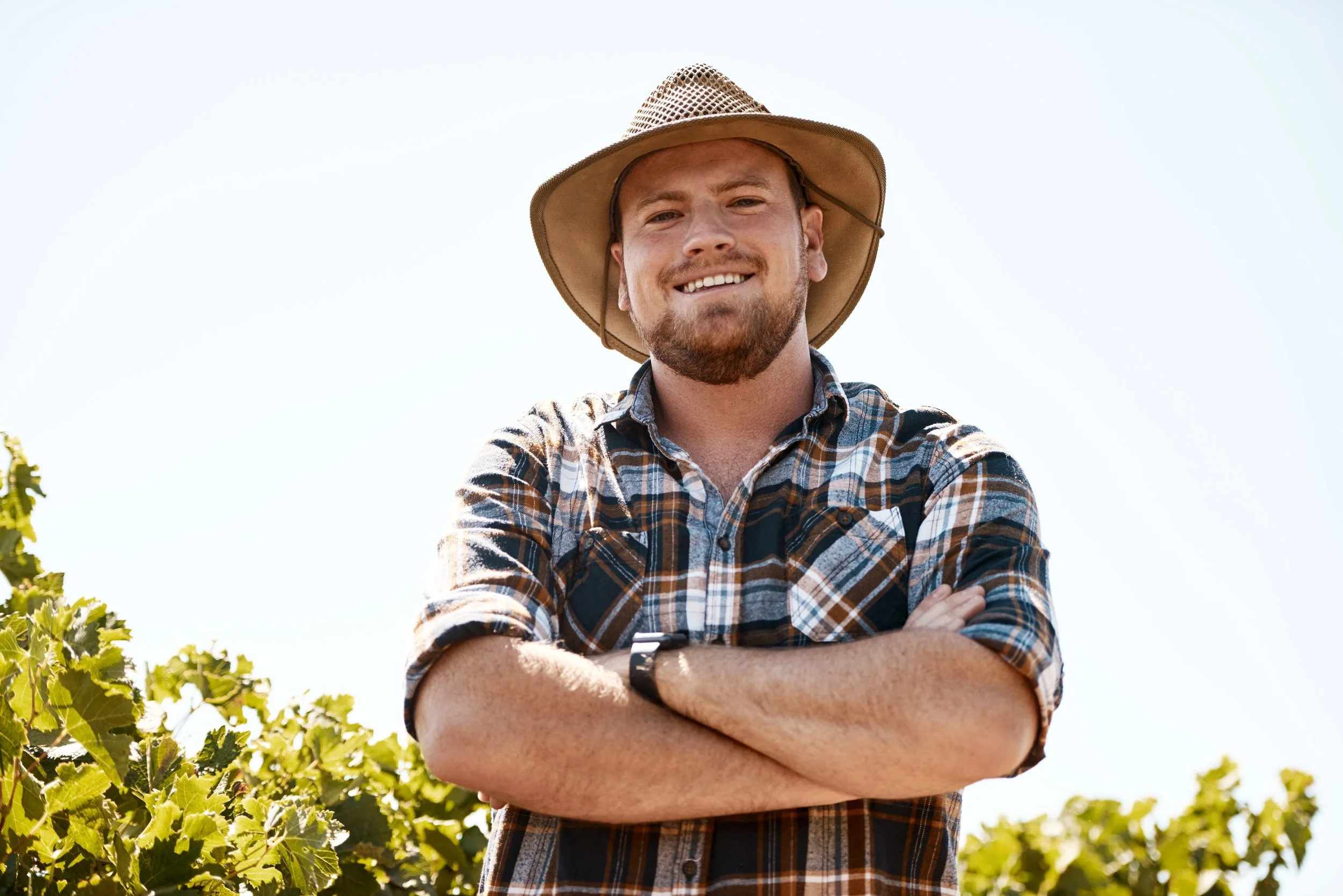 A smiling man wearing a plaid shirt and a wide-brimmed hat standing outdoors with crossed arms, surrounded by green grapevines under a bright sky.