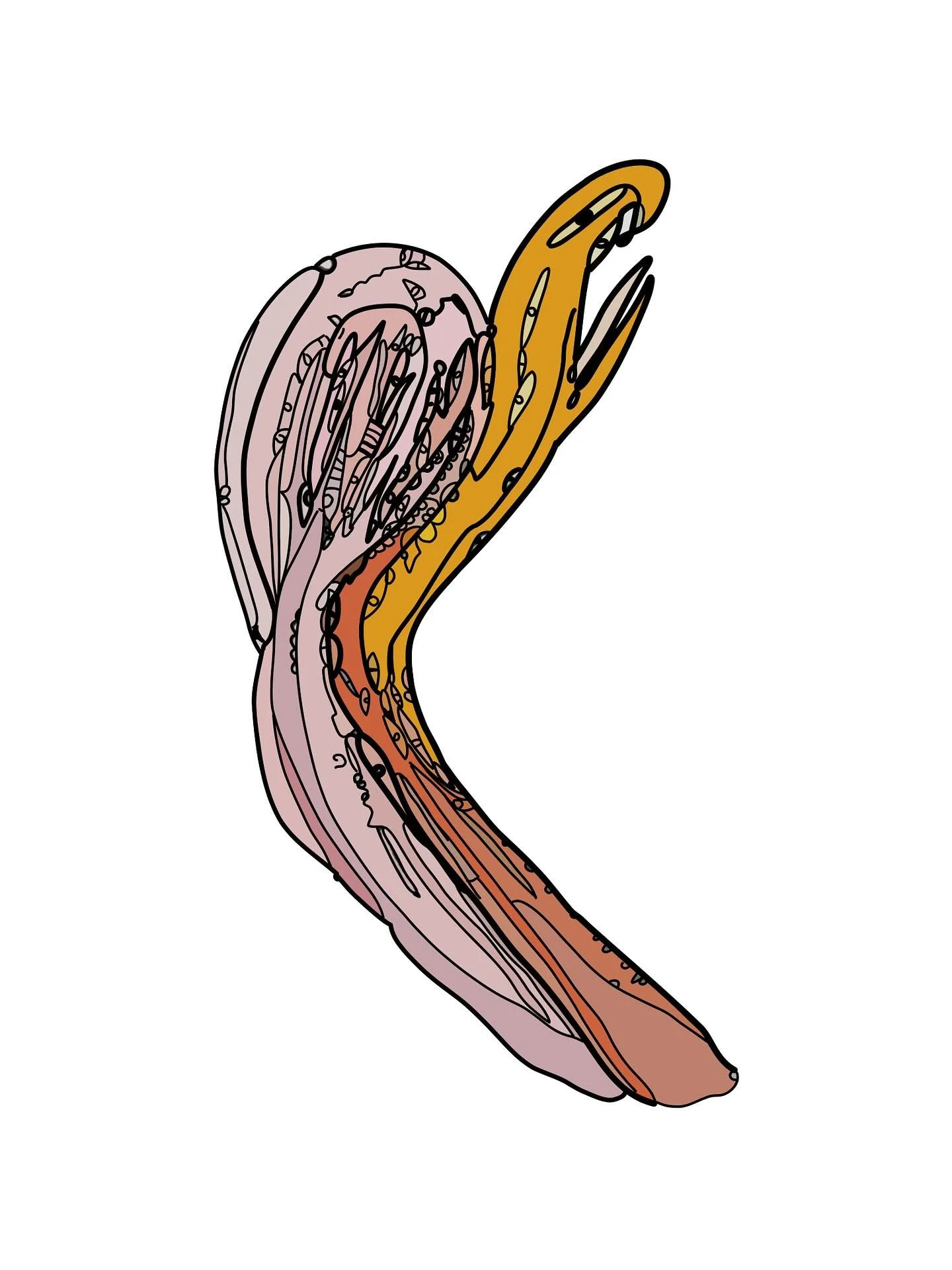 Weird snail head or something
