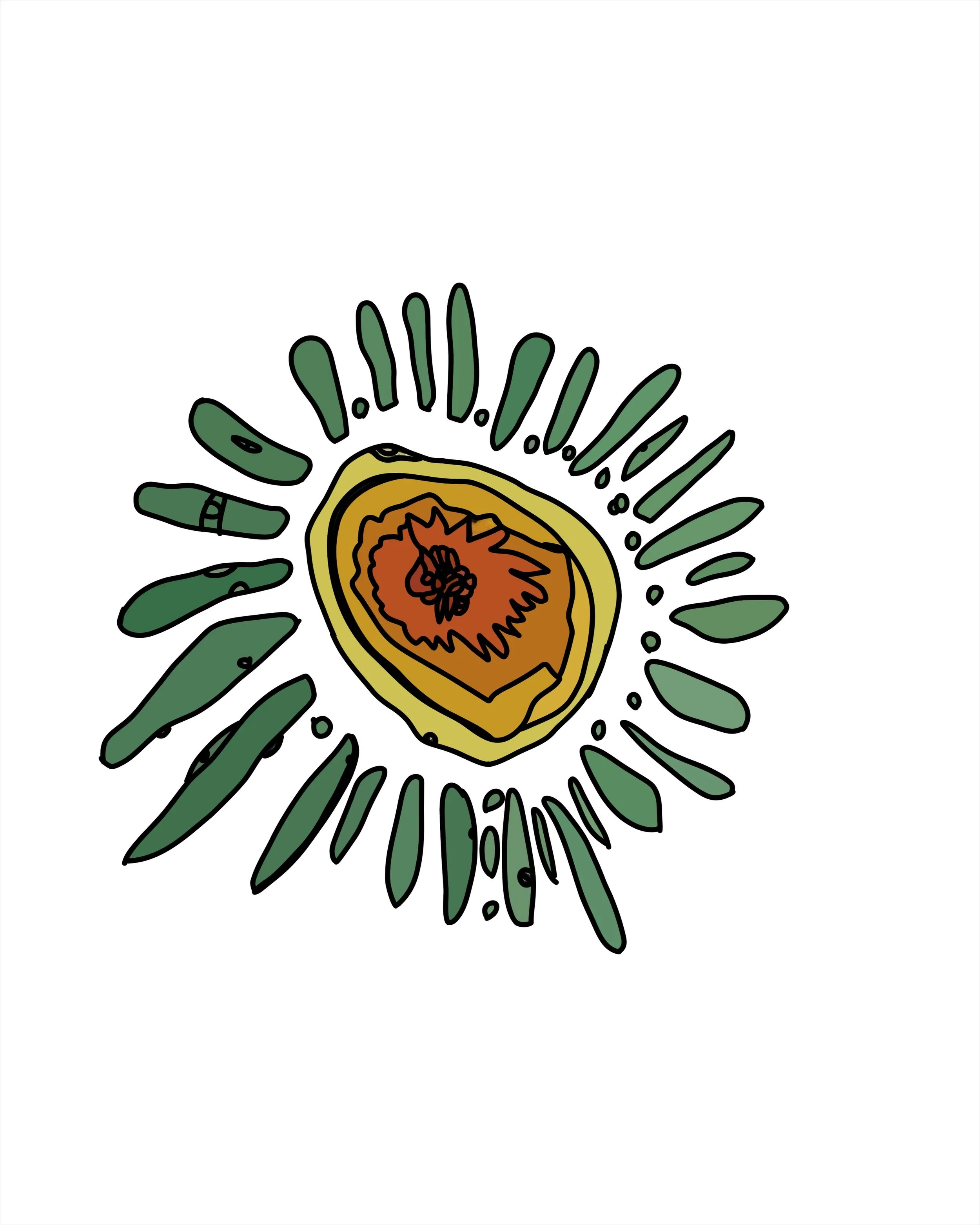 ___ hole sun, depending on what color is in the middle
