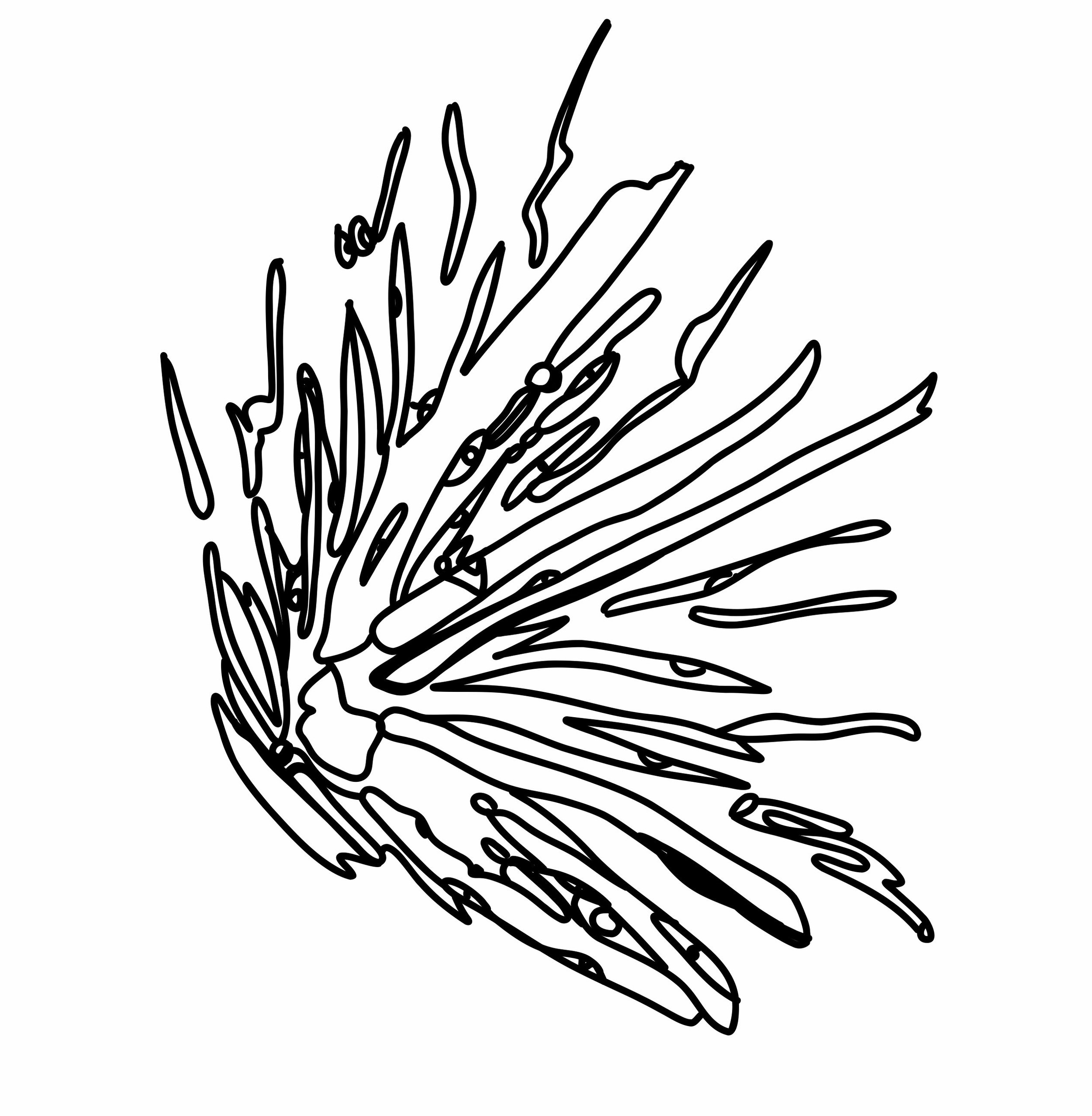 Uploading a new coloring page. This is for &ldquo;3, red and green&rdquo;! Thanks for entering.