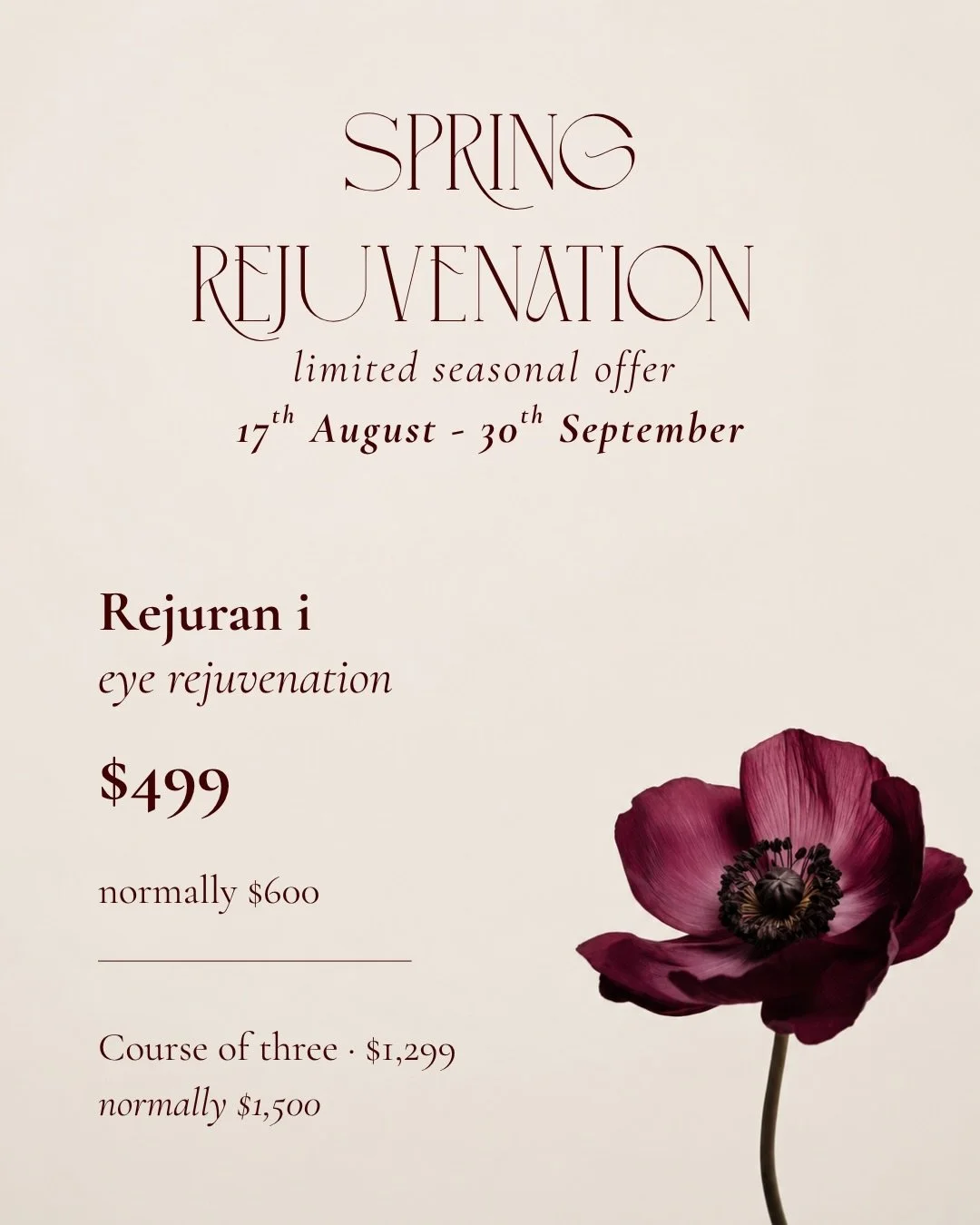 A little spring refresh, from me to you. 🌷

Spring is almost here, and I wanted to celebrate the change of season with a little something special. 🤍

While special offers aren&rsquo;t something I regularly run, this felt like the perfect opportunit