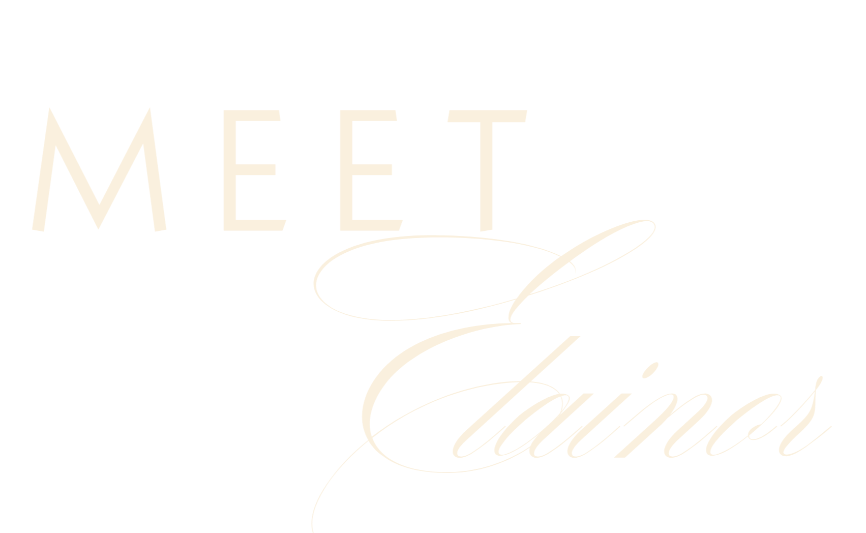 Stylized black background with white text reading 'Meet Elainor', combining bold and cursive fonts.