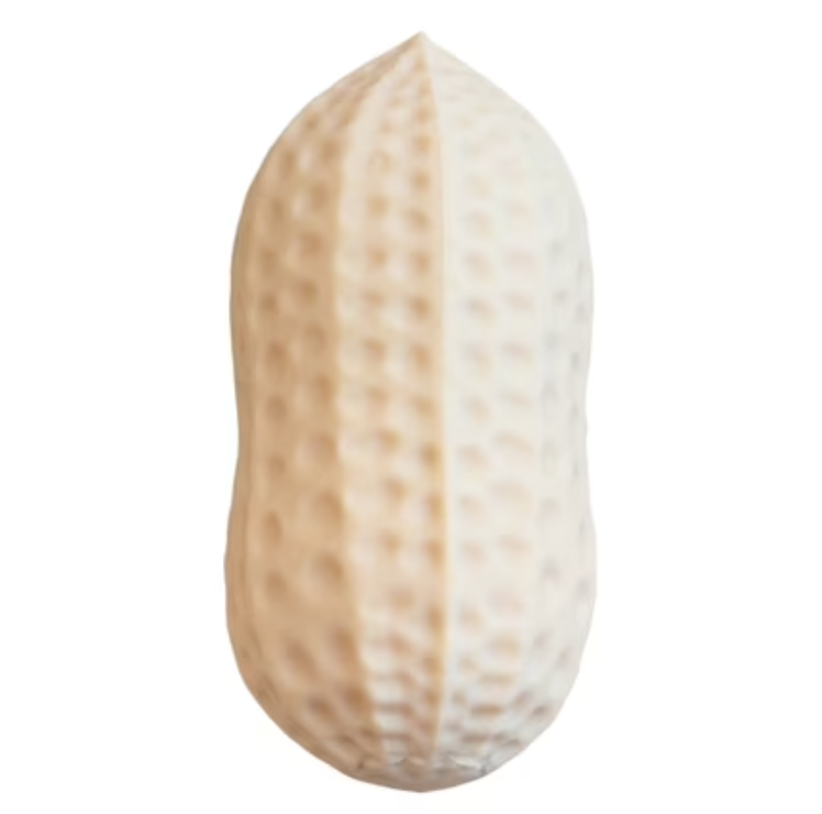 Crunchy Peanut Squishy