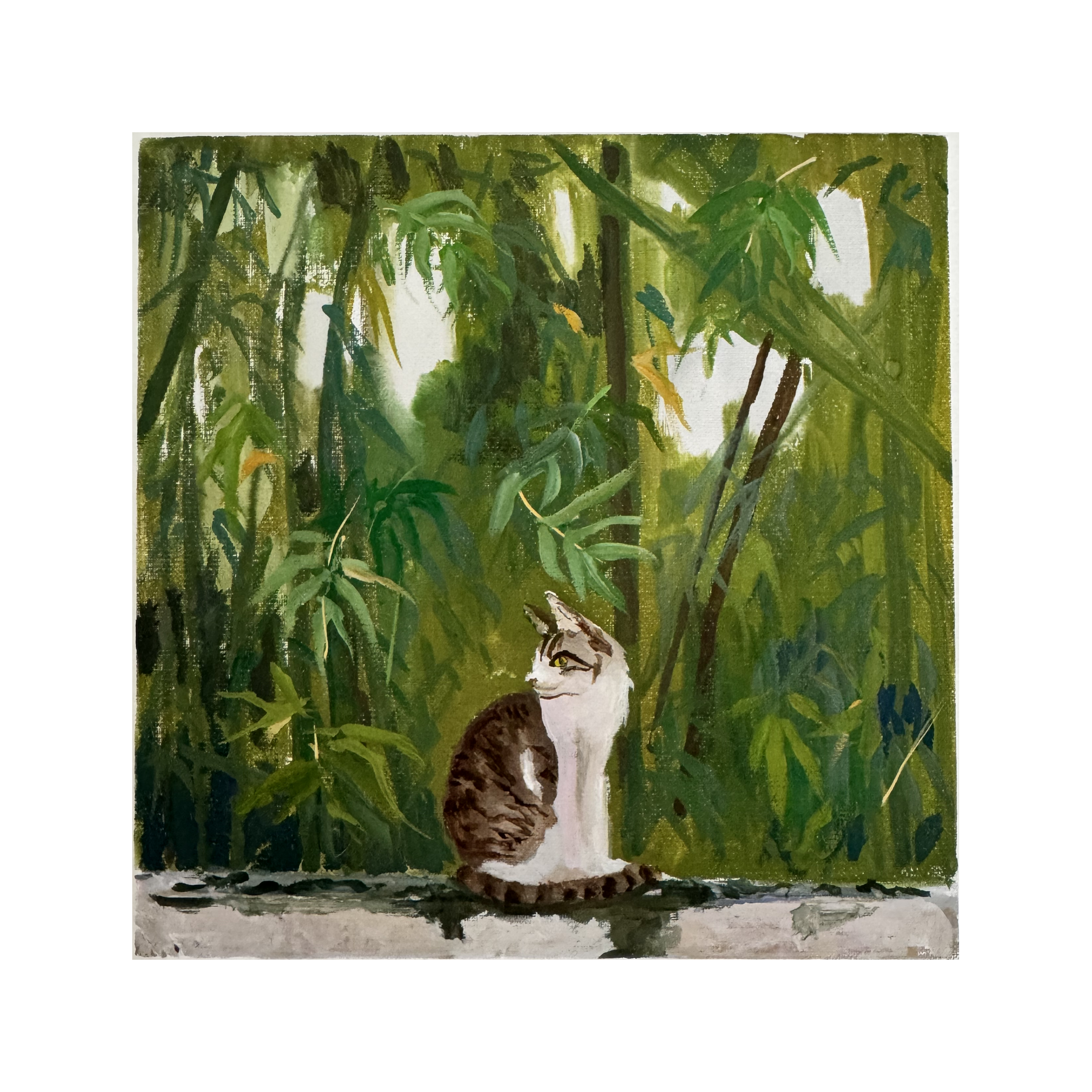 shared-stillness-05-cat-sitting-bamboo-gouache-painting.png