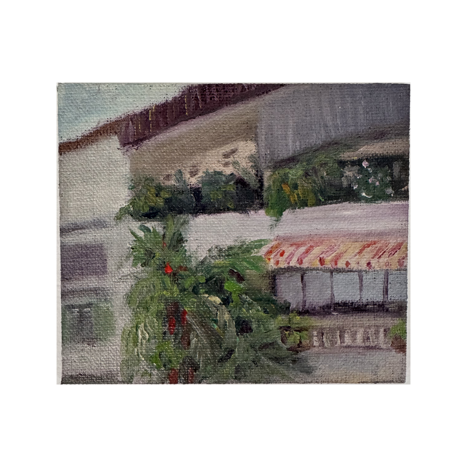 tiong-bahru-07-balcony-plants-shophouse-oil-painting.png
