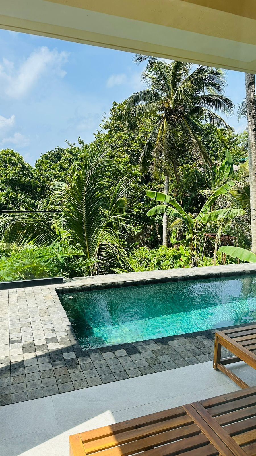 A swimming pool with a tiled edge overlooking lush green tropical plants and palm trees under a blue sky.