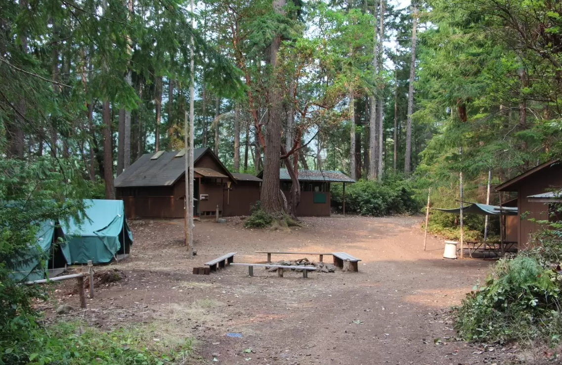 A group of wooden cabins in a forest clearing with a central fire pit and benches, surrounded by tall trees and greenery.