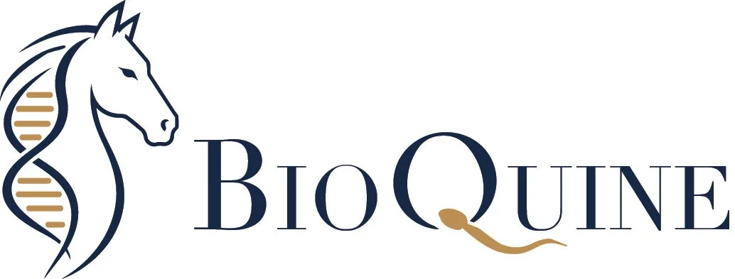 BioQuine 
