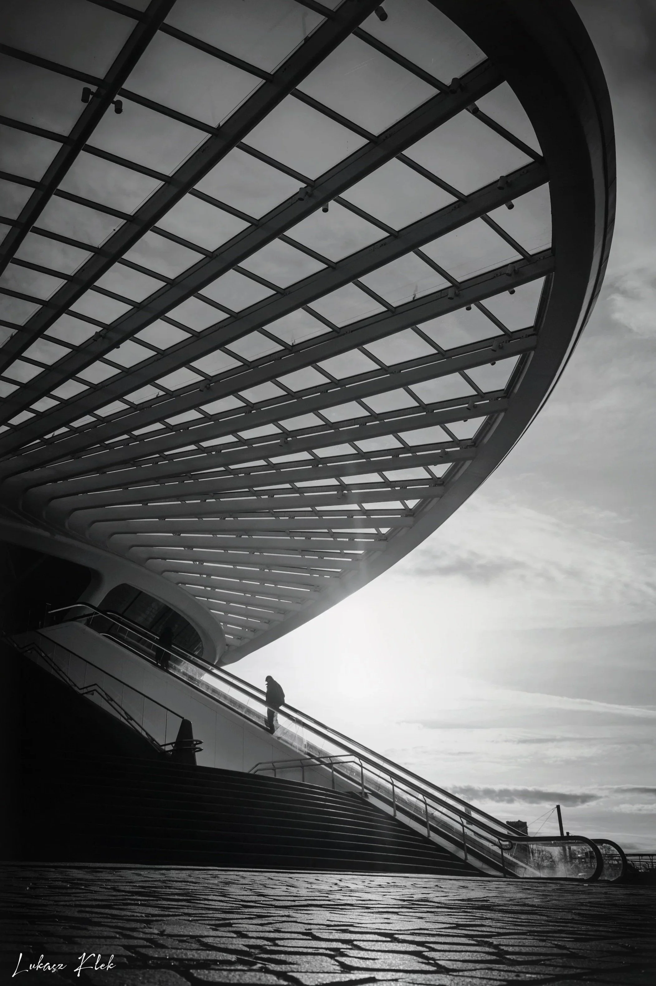 %2BDSC004741+BW.jpg