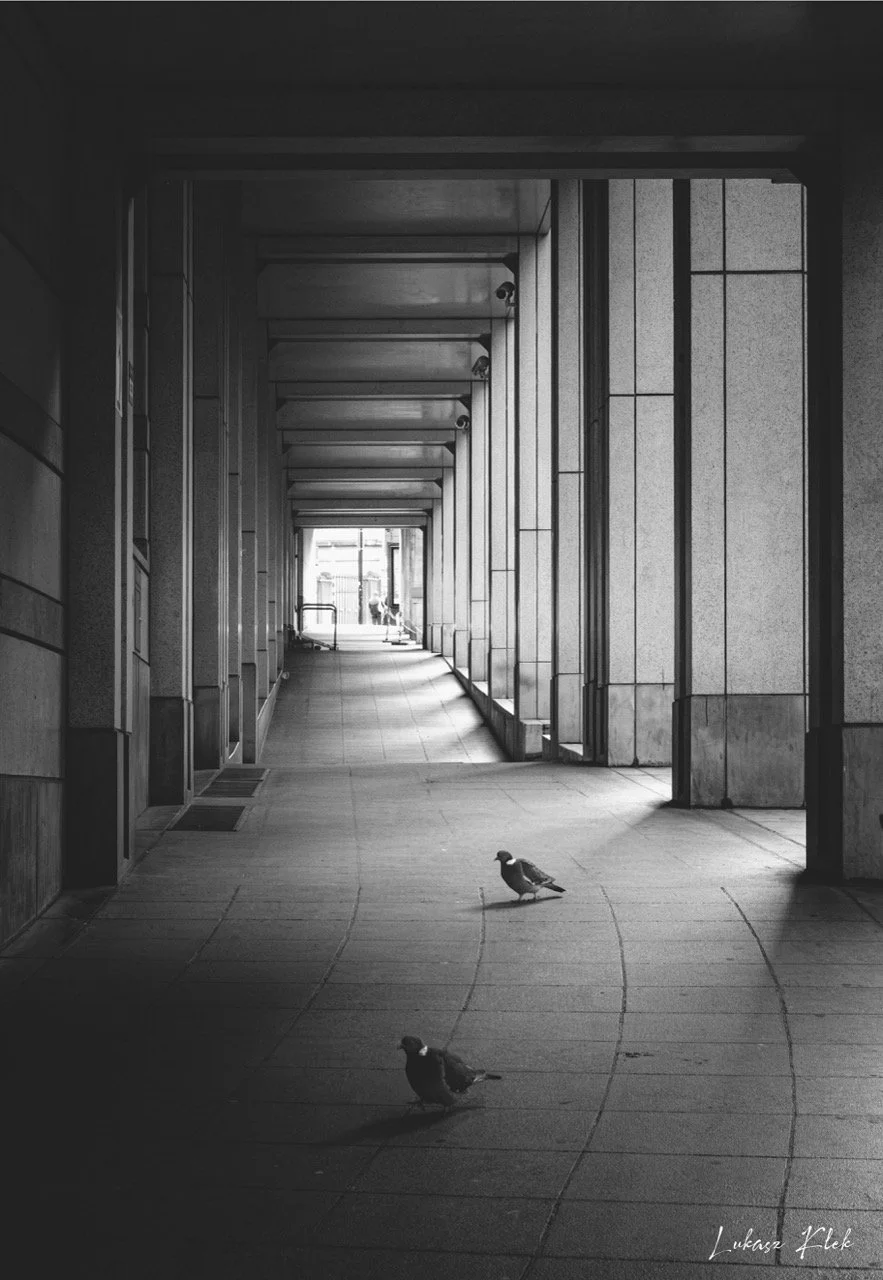 Black and white photo of an urban walkway with tall columns and ceiling, with two pigeons walking on the sidewalk in the foreground.