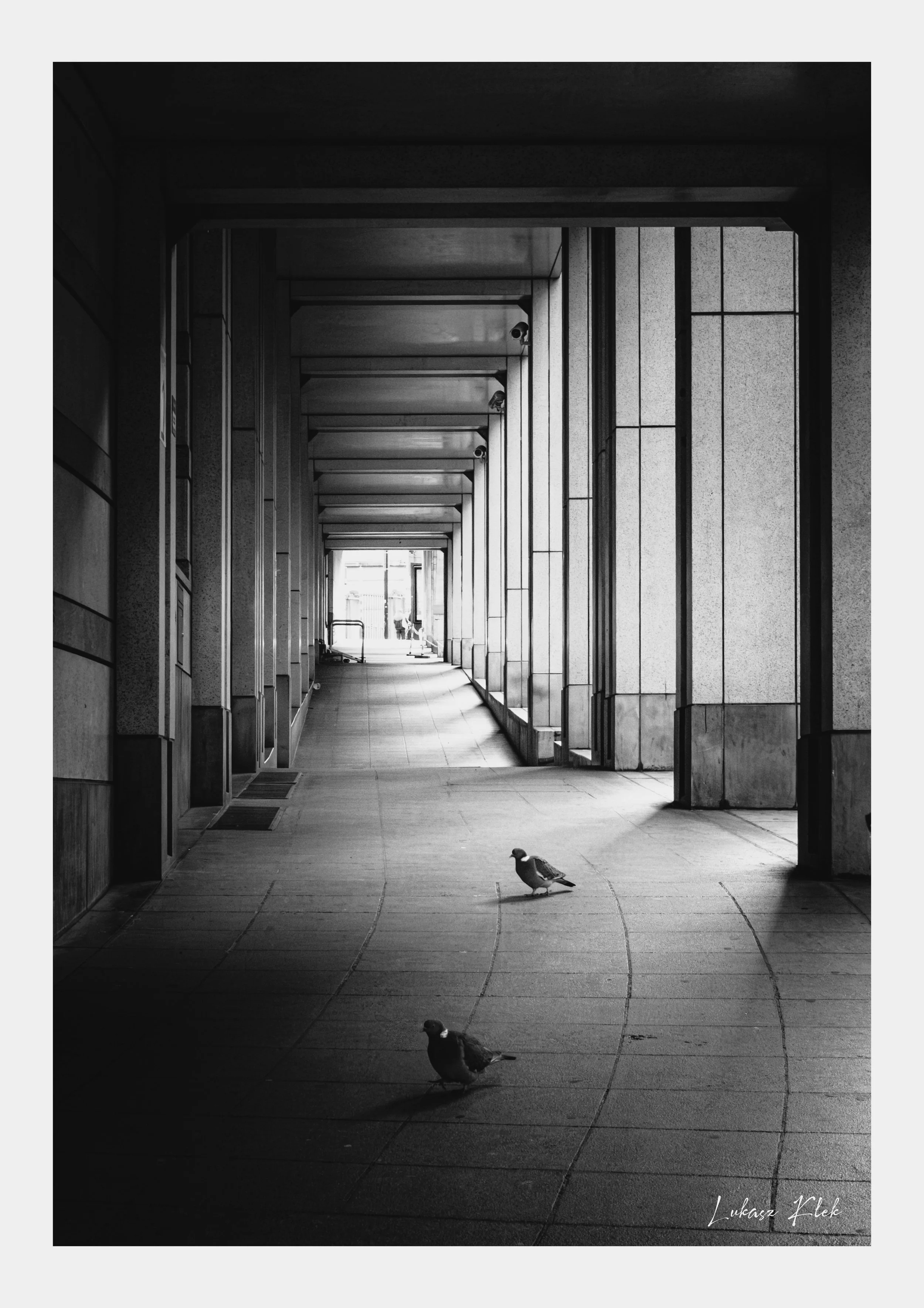 The Pigeons Passage - Brussels