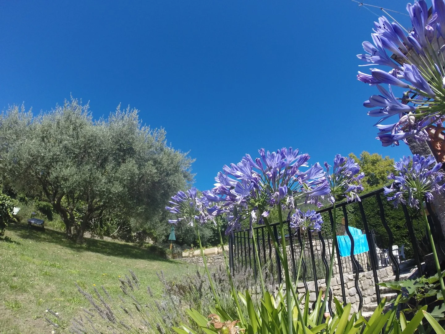 Garden View.