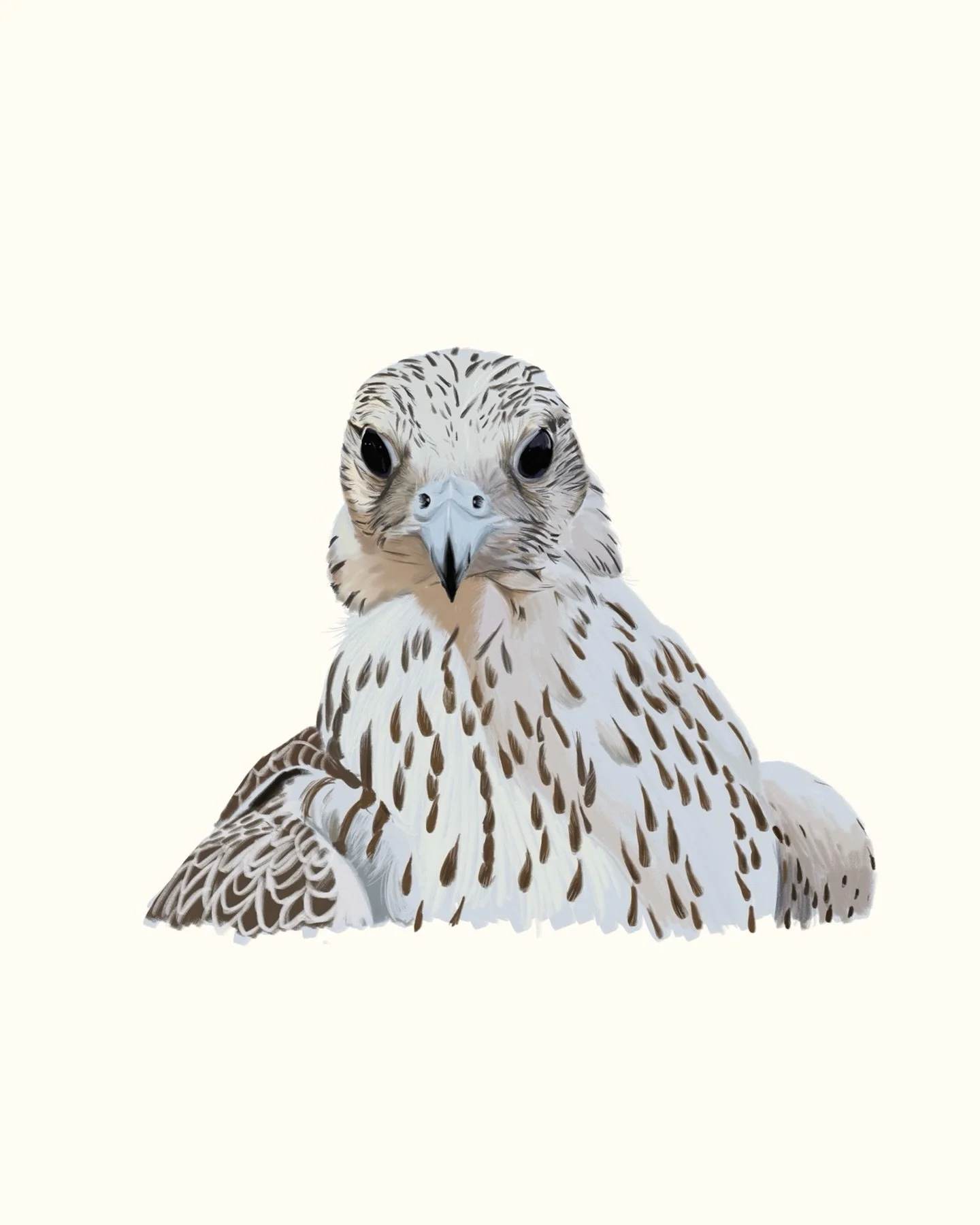 Day 10 of making art every day so I can quit my job. Another falcon 💙