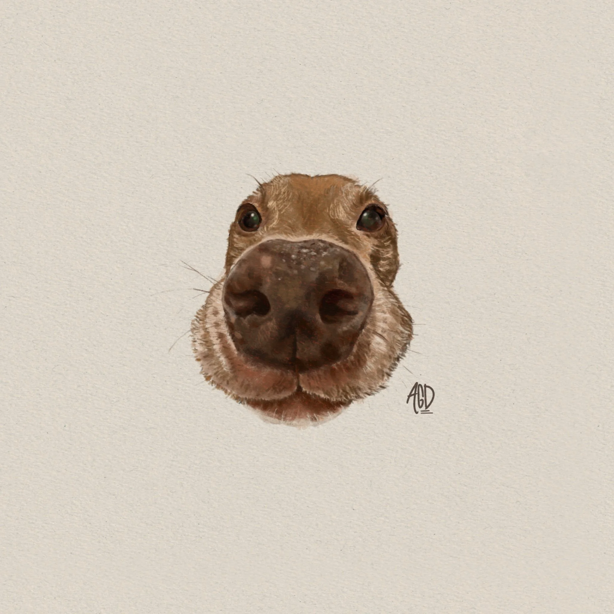 Nosey
Digital Drawing
2024