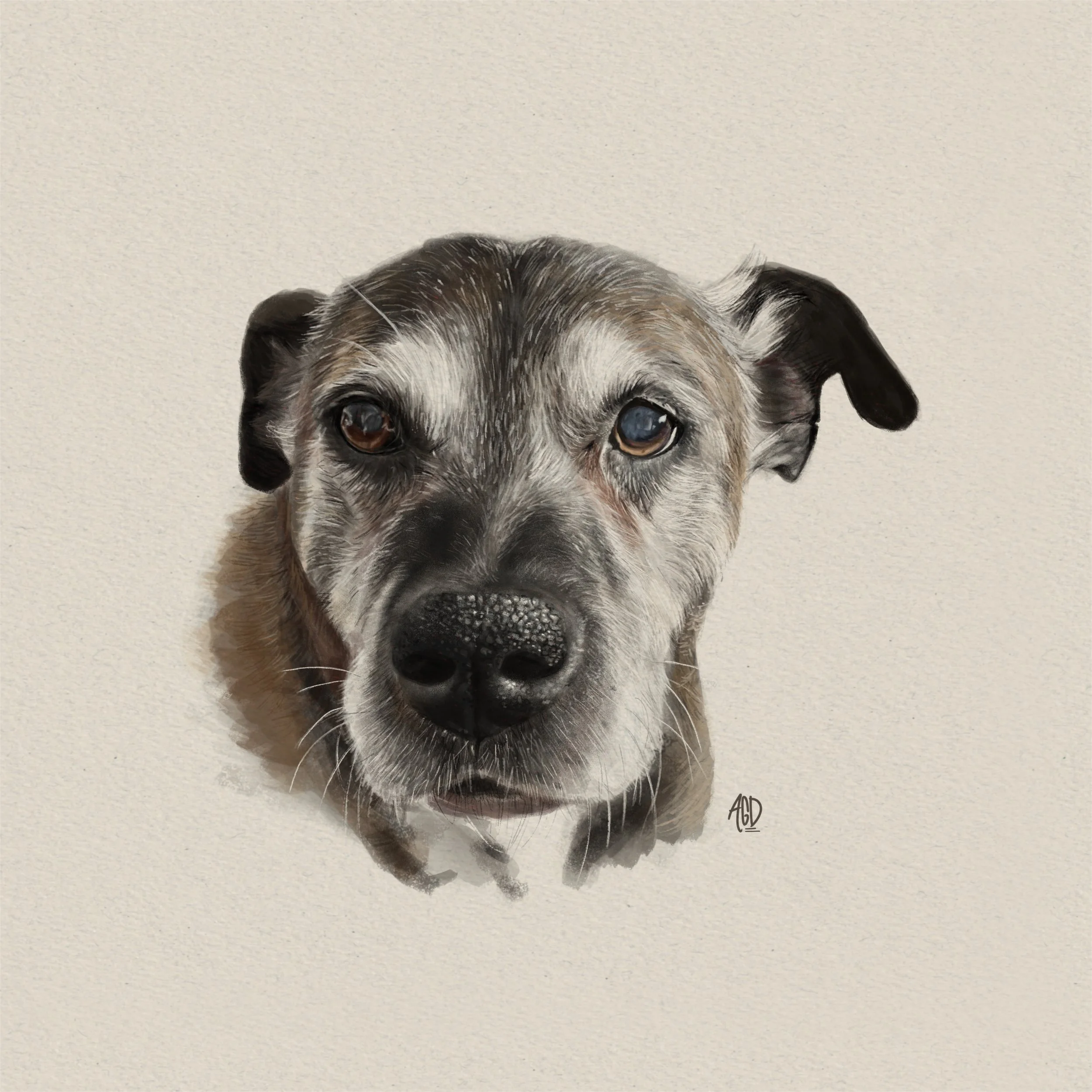 Rocky
Digital Drawing
2024