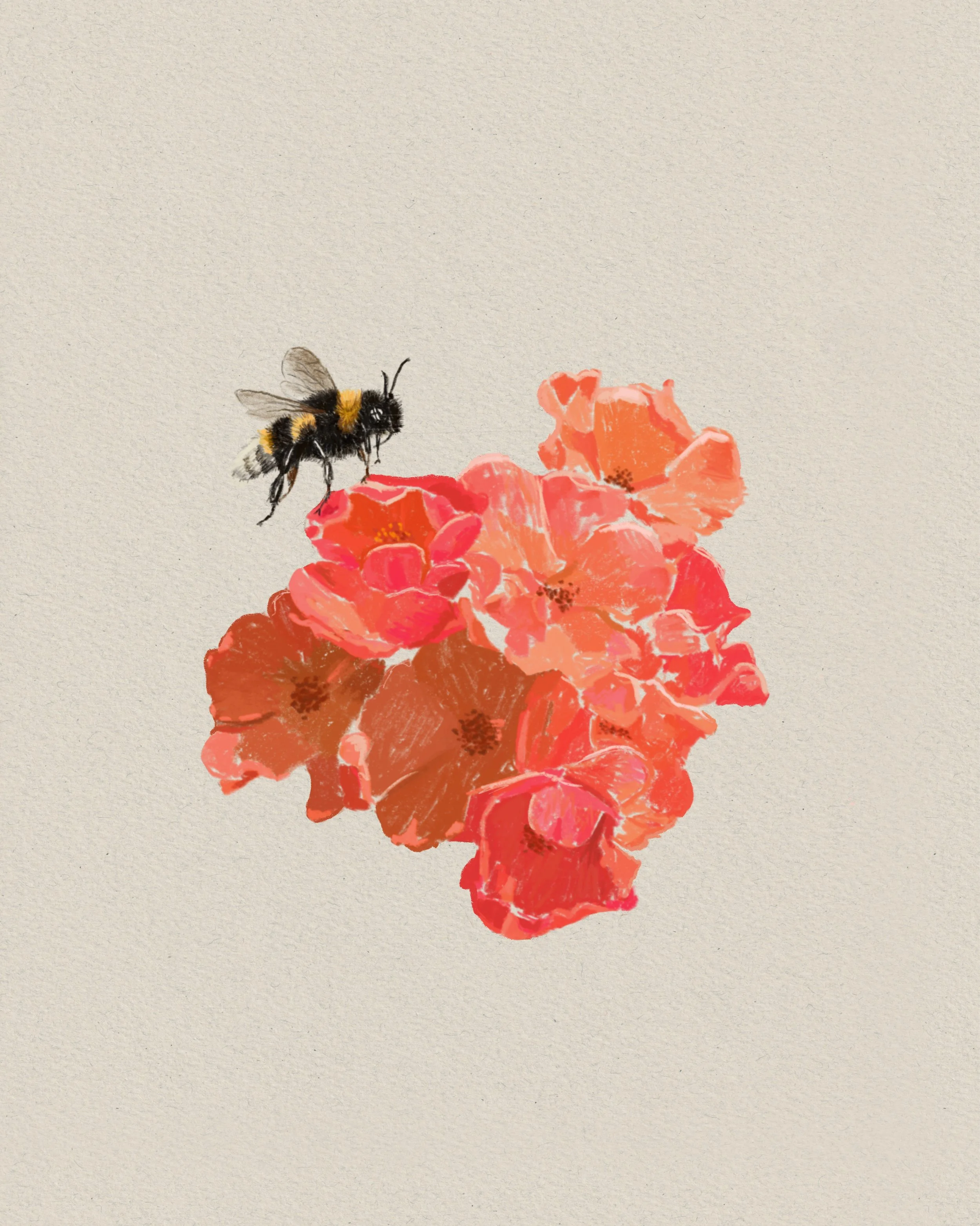Bumblebee
Digital Drawing
2025