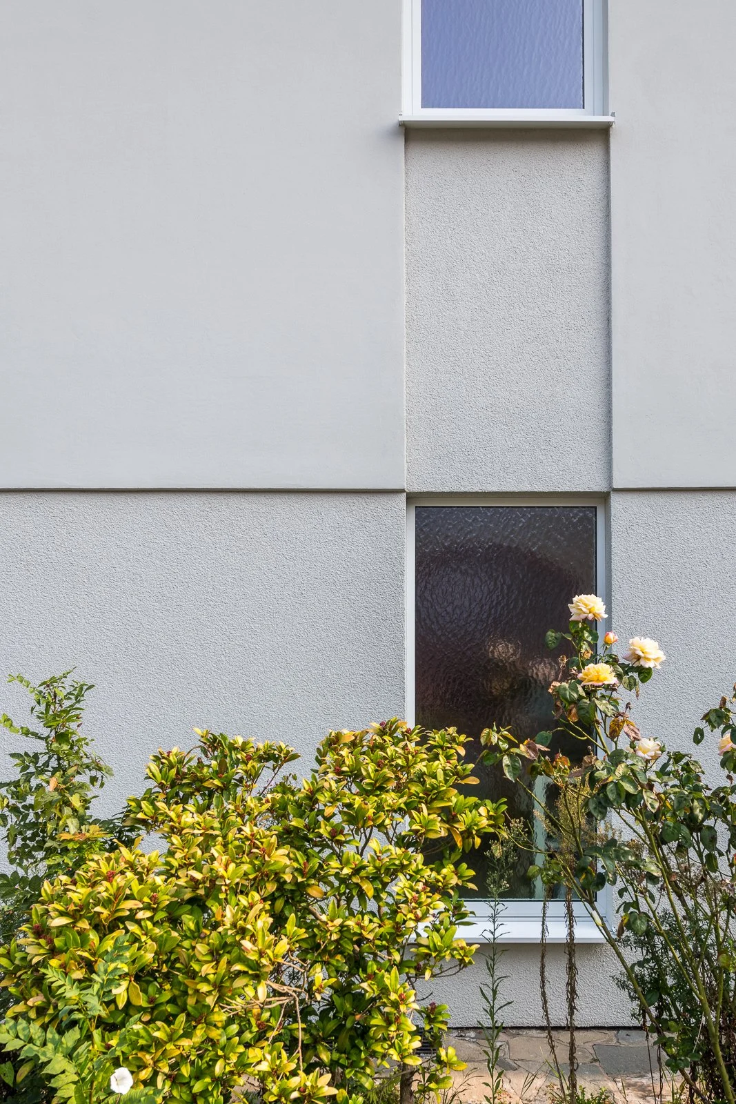 Buitenkant van een wit modern gebouw met twee ramen en groene struiken met bloemen voor de gevel.