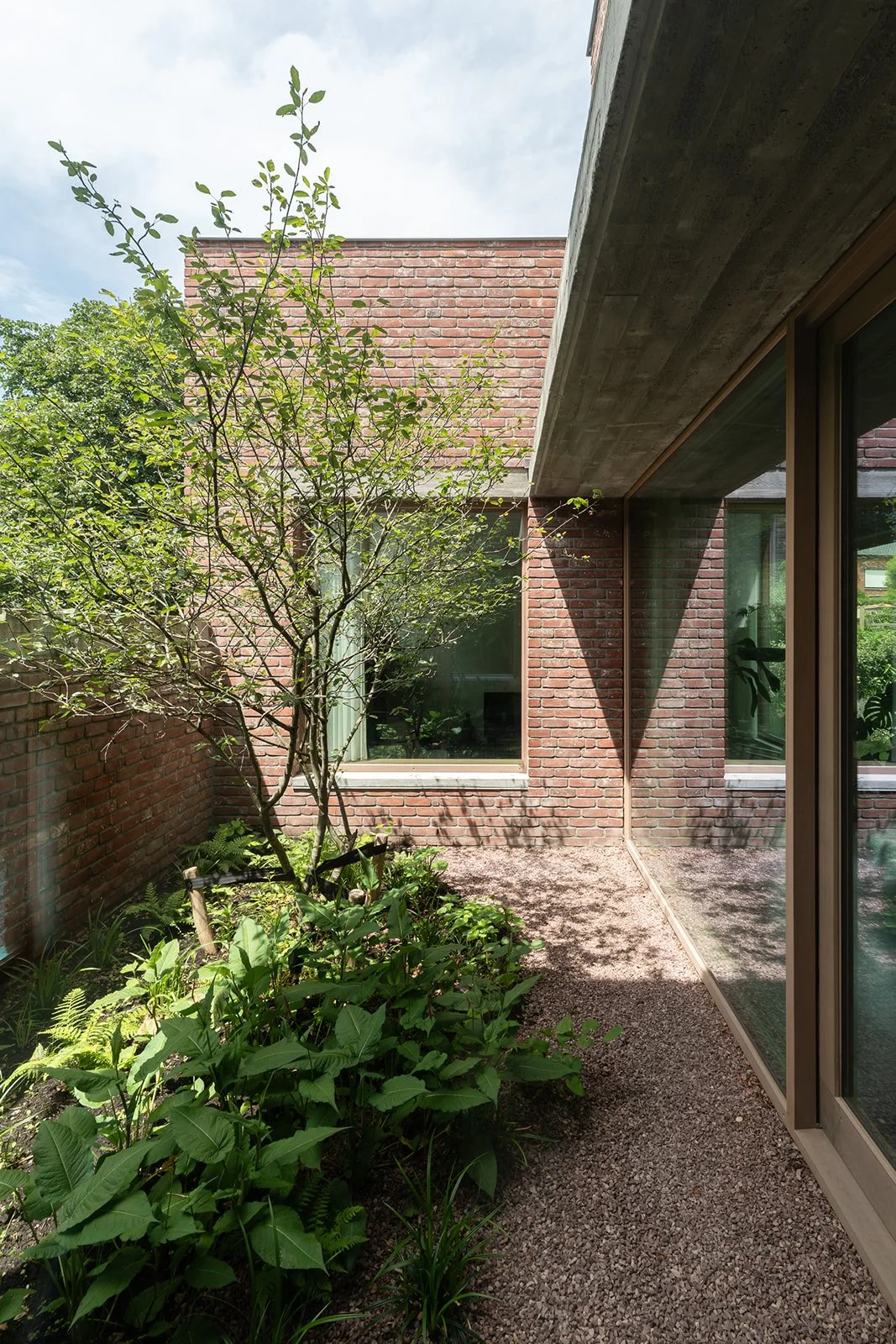 Een binnenplaats met een boom, planten, een stenen muur, een groot raam en een plafond gemaakt van beton.