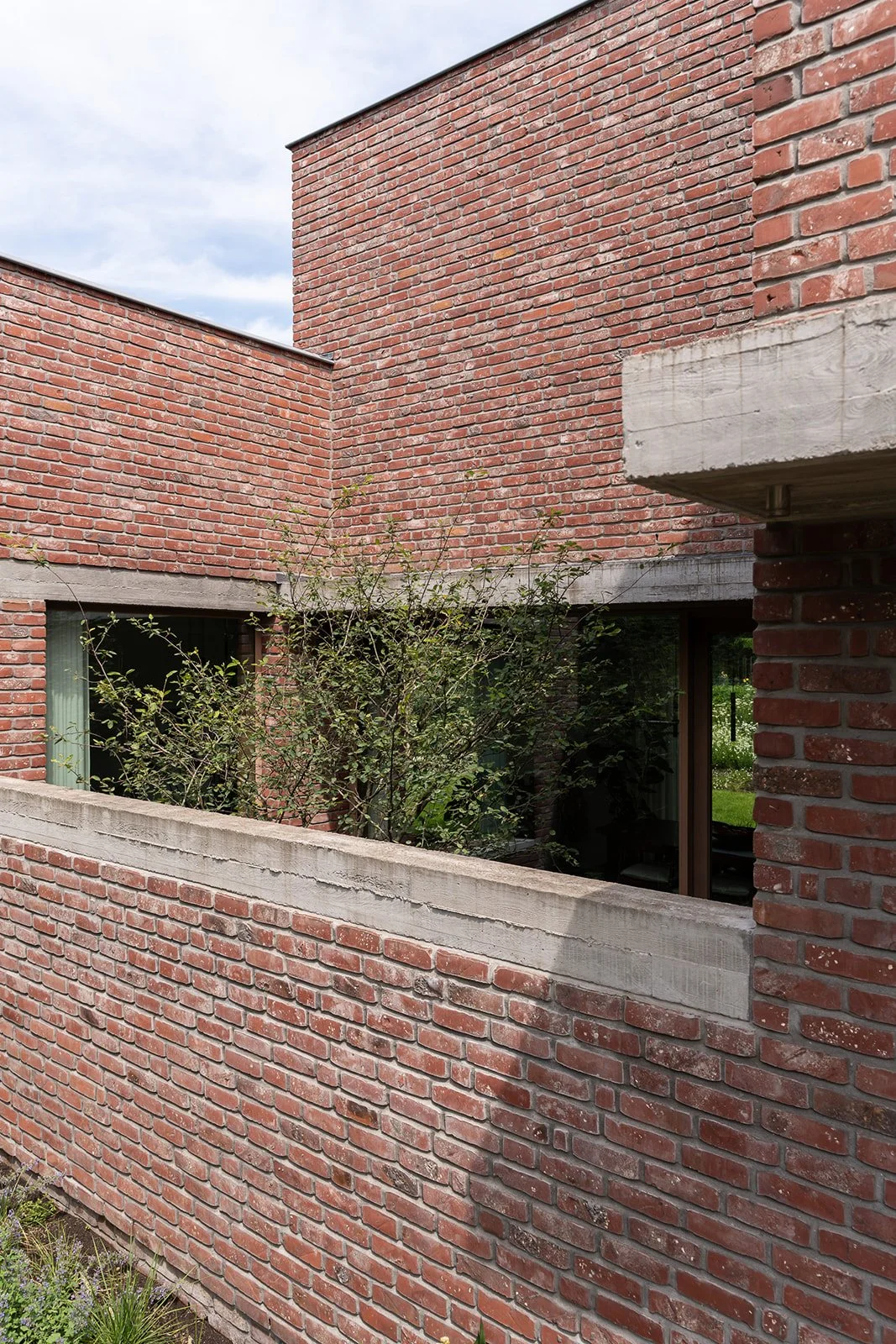 Muizen-AlanisBlondeel-40.jpg