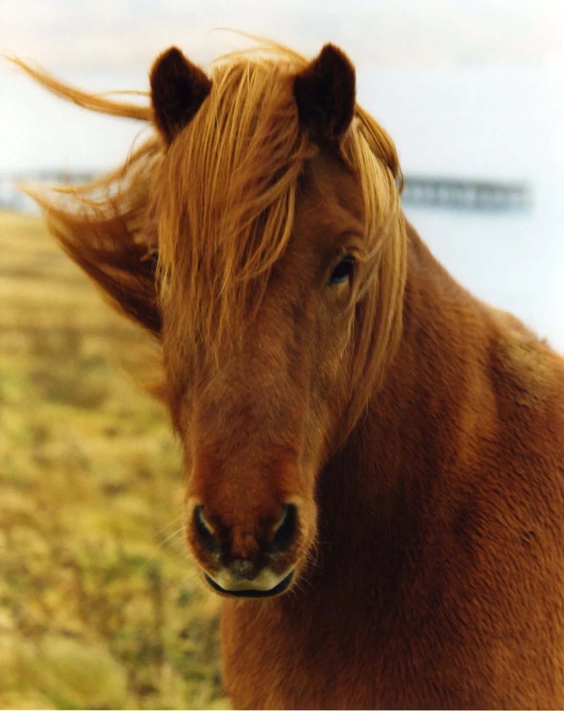 12-iceland.jpg